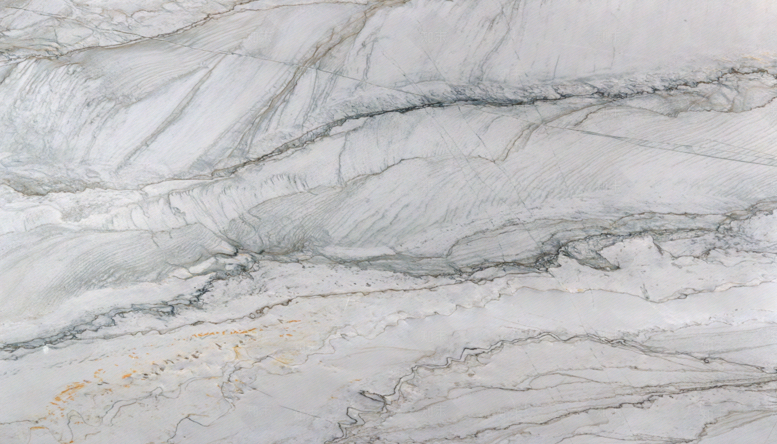 巴西鱼肚白奢石贴图下载【ID:1159395985】