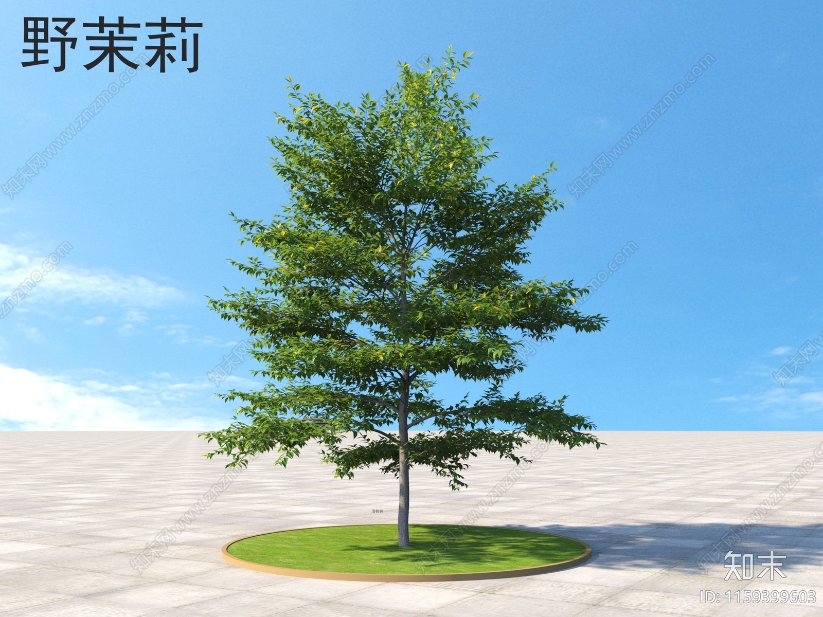 野茉莉3D模型下载【ID:1159399603】