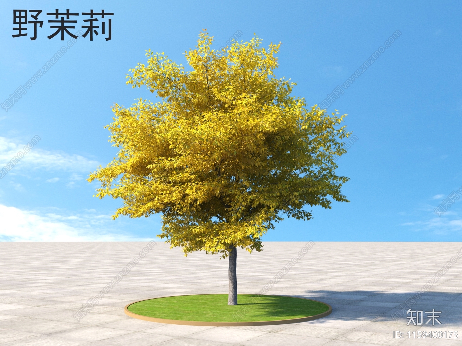 野茉莉3D模型下载【ID:1159400175】