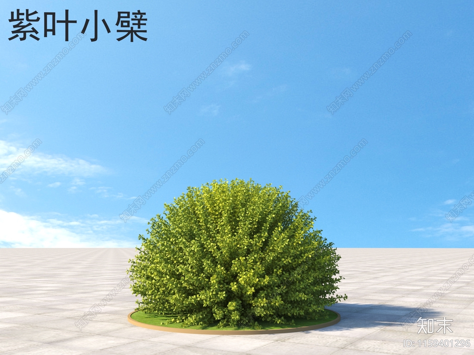 紫叶小檗3D模型下载【ID:1159401296】