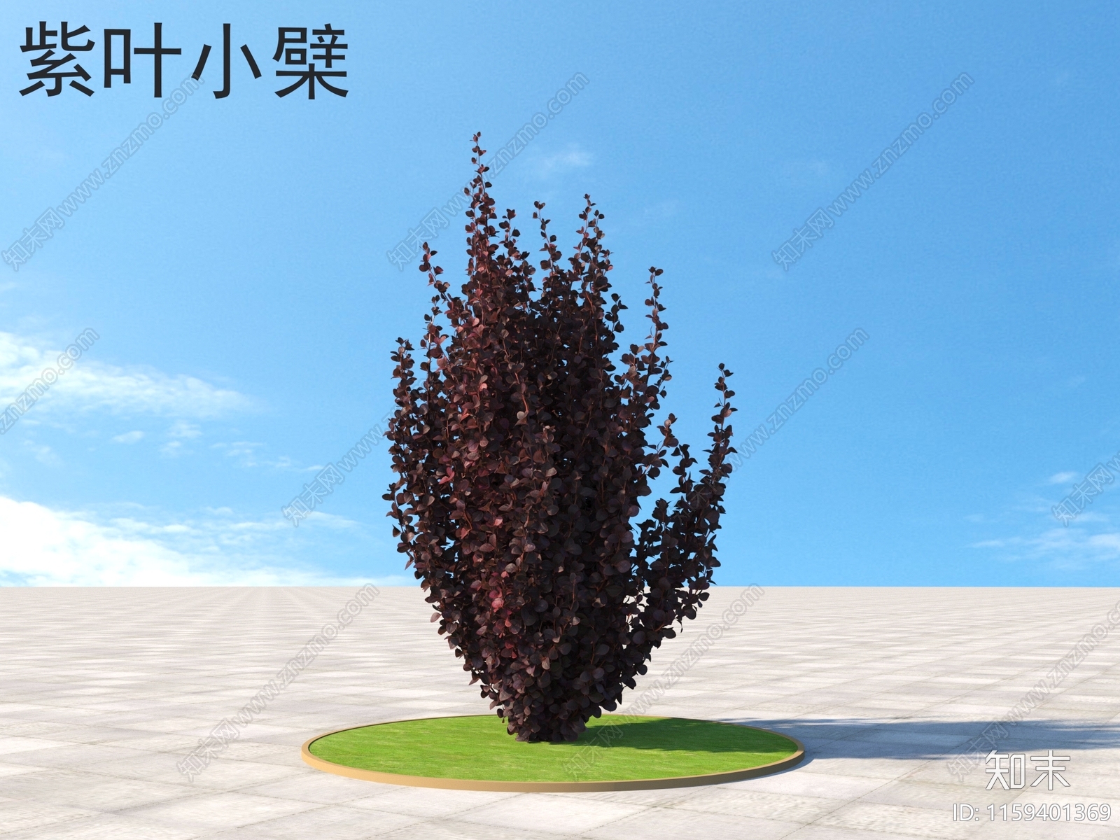 紫叶小檗3D模型下载【ID:1159401369】