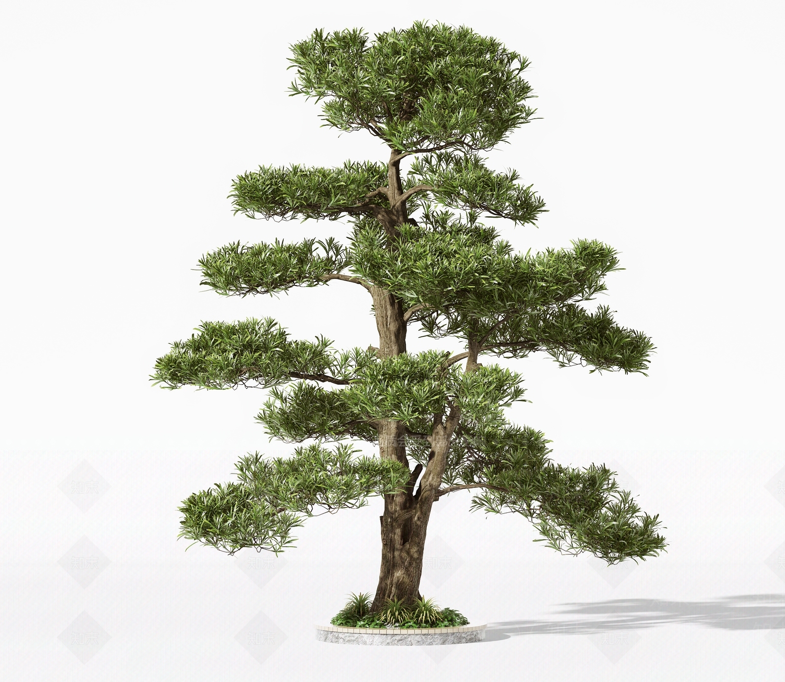 现代树木3D模型下载【ID:1159406977】