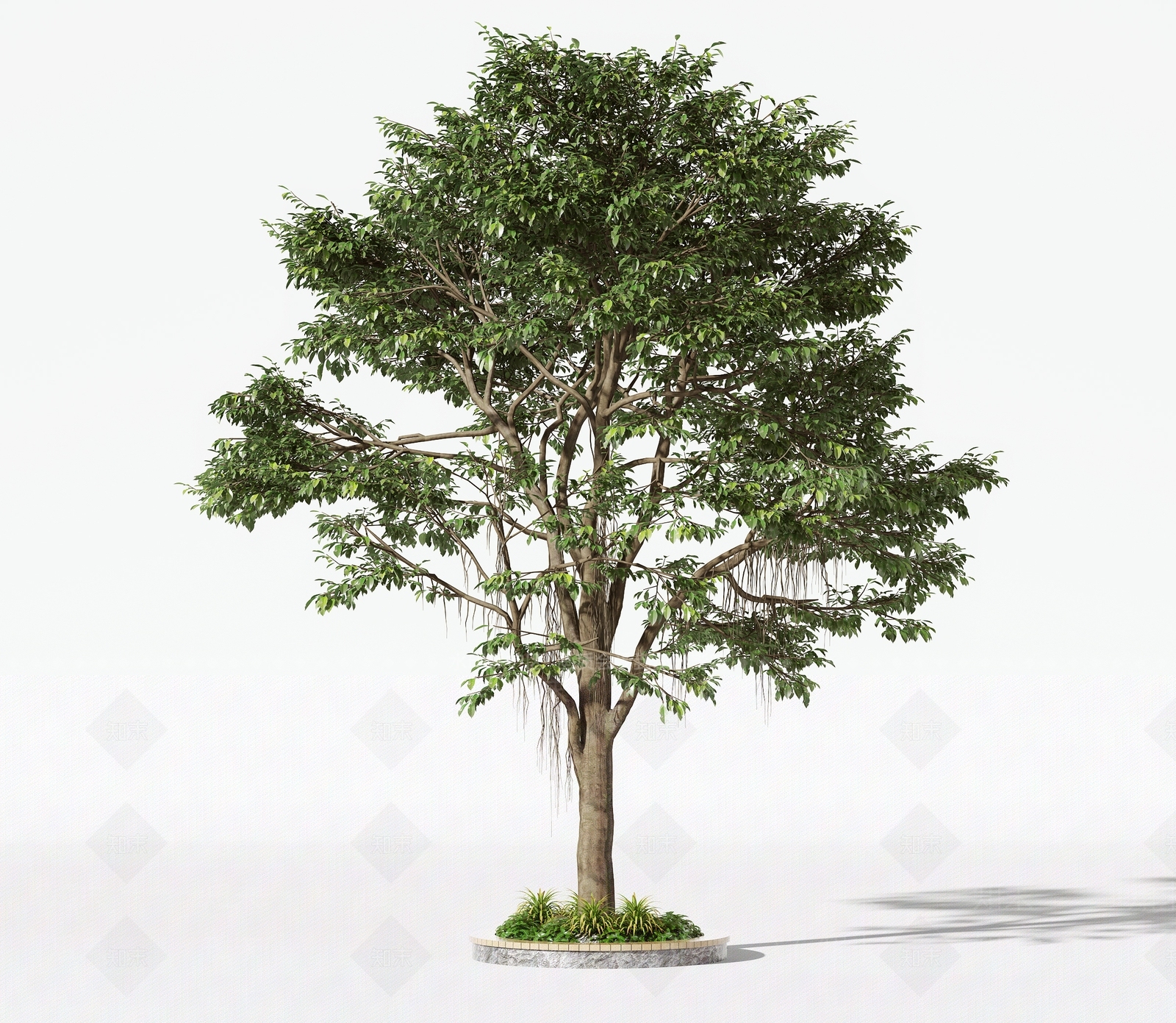 现代树木3D模型下载【ID:1159407089】