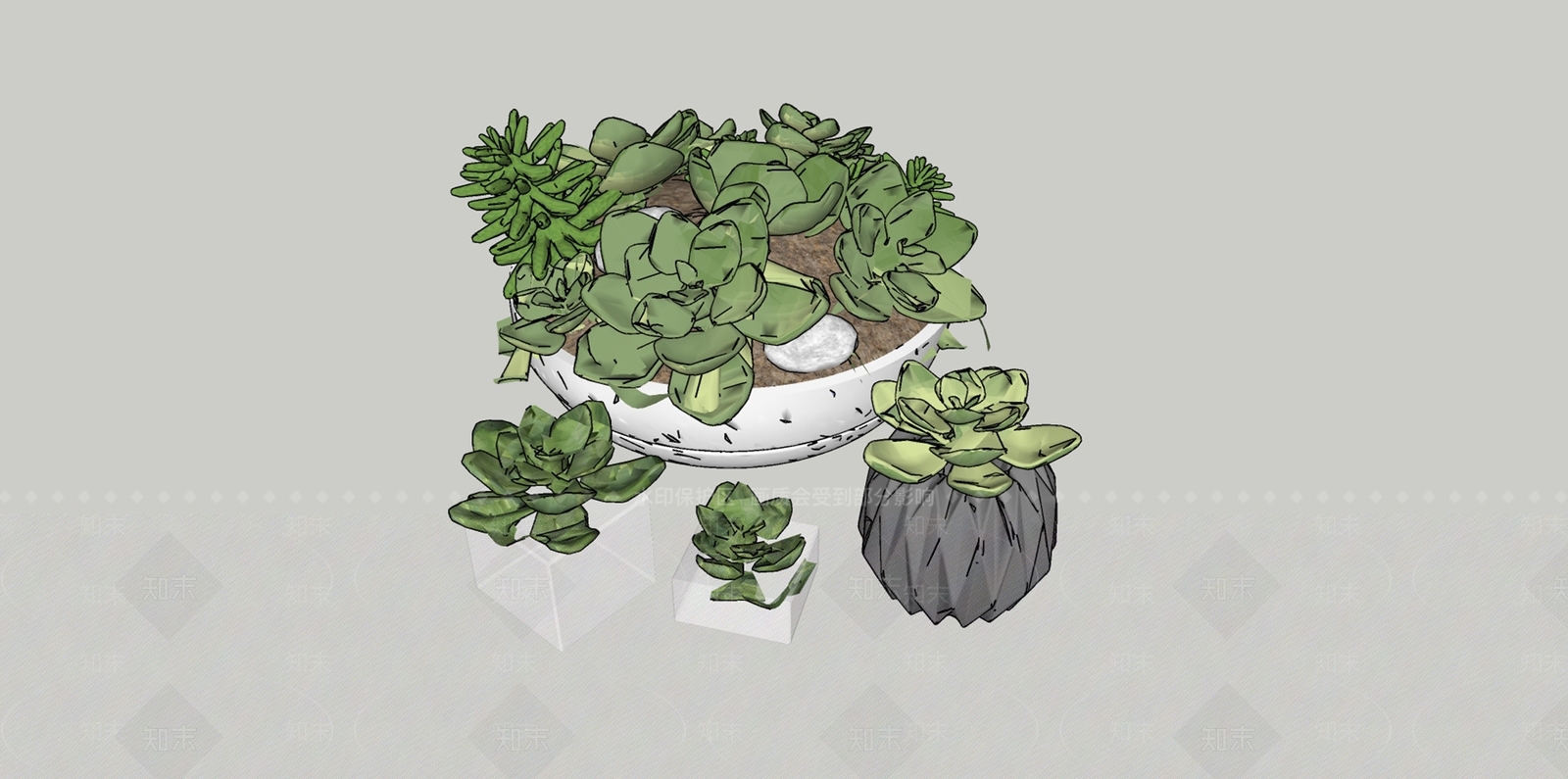 多肉植物SU模型下载【ID:1159409721】