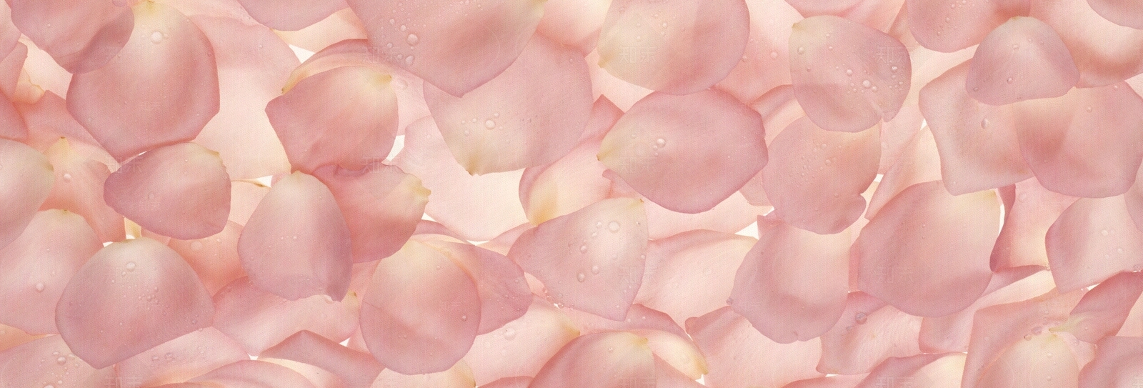 植物花卉外景贴图下载【ID:1159427609】