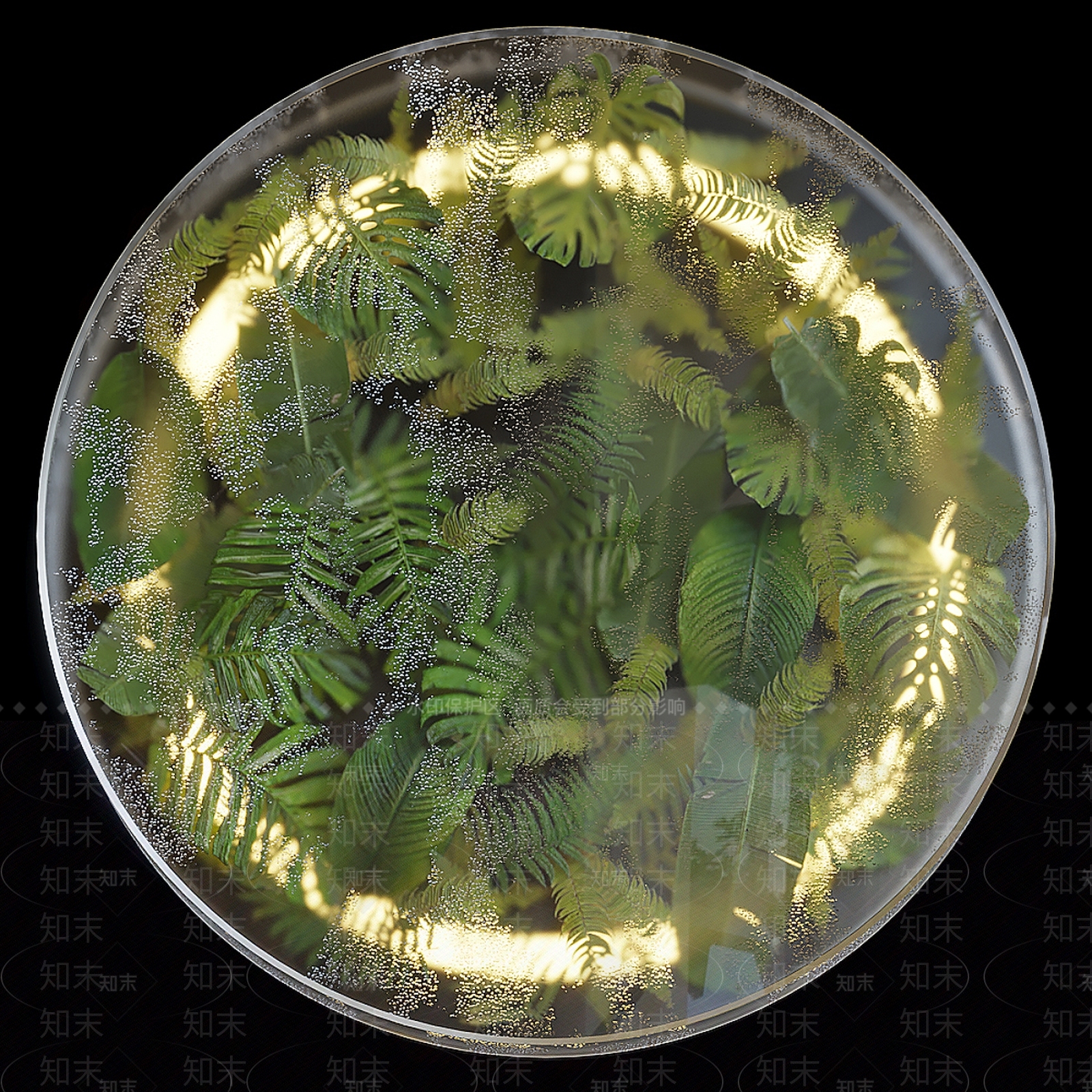 现代绿植墙挂3D模型下载【ID:1159448920】