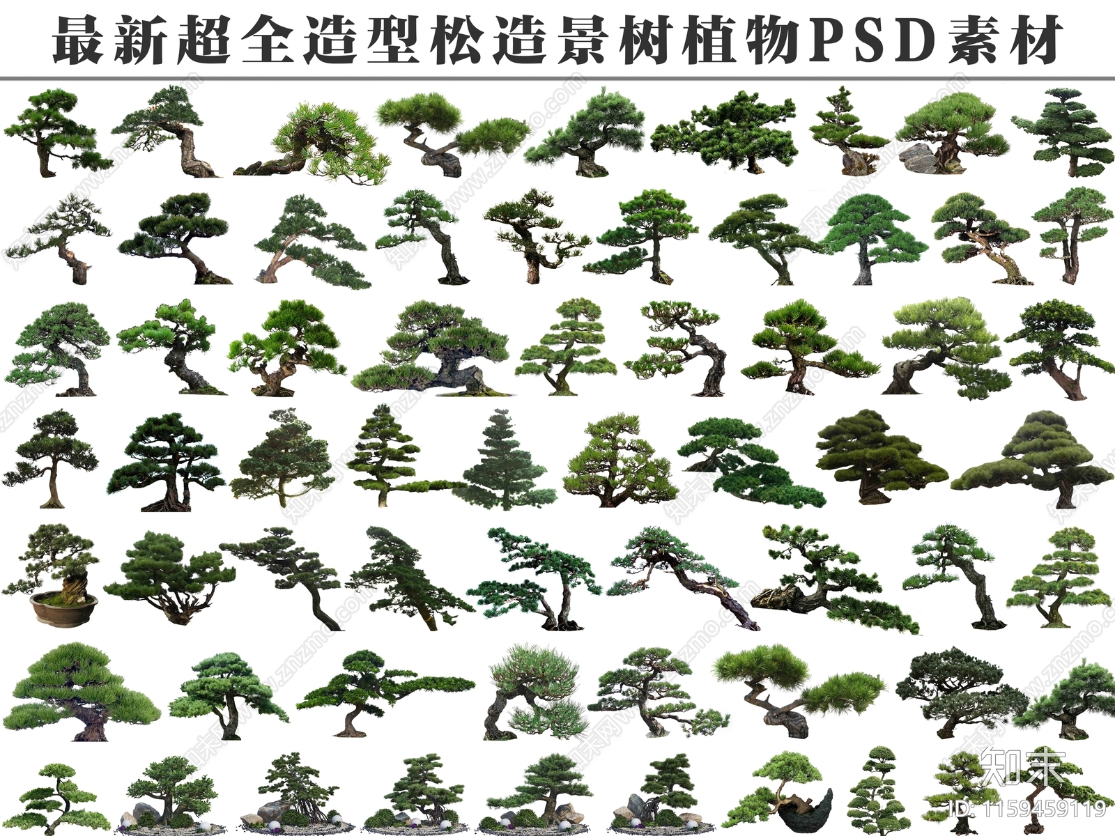 乔木设计素材精品下载_知末网