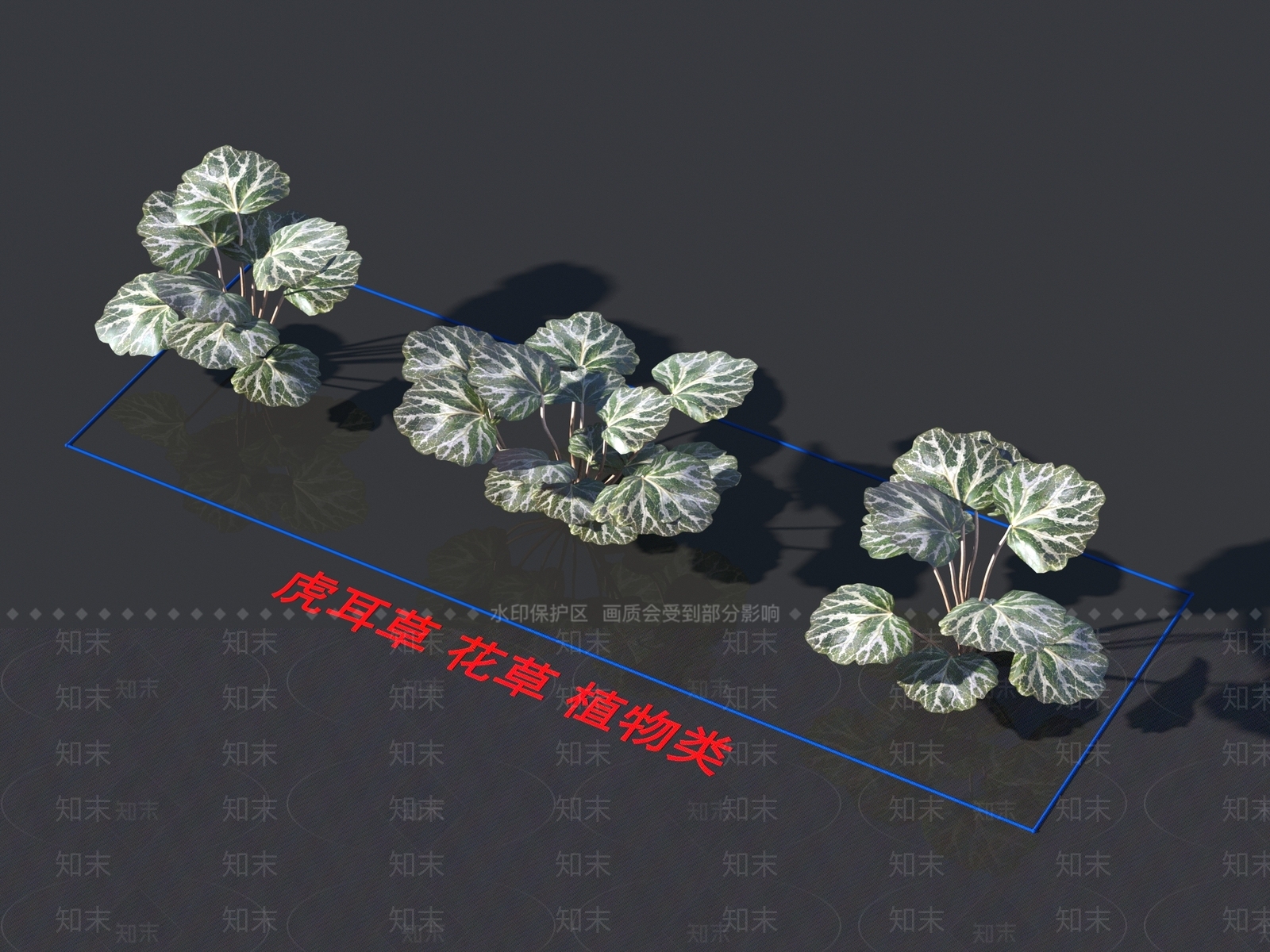 虎耳草3D模型下载【ID:1159472713】
