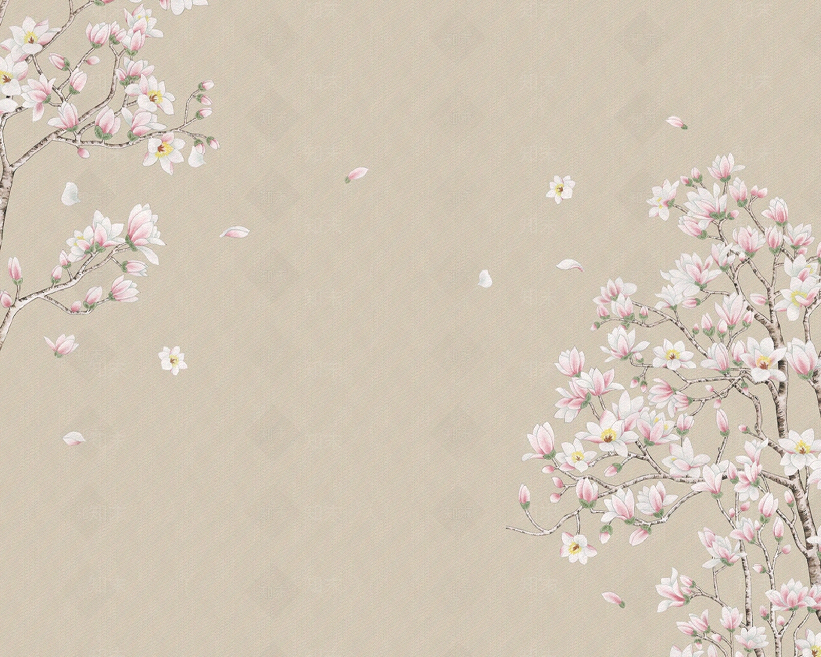 浅驼色木兰花开壁纸壁画贴图下载【ID:1159472992】