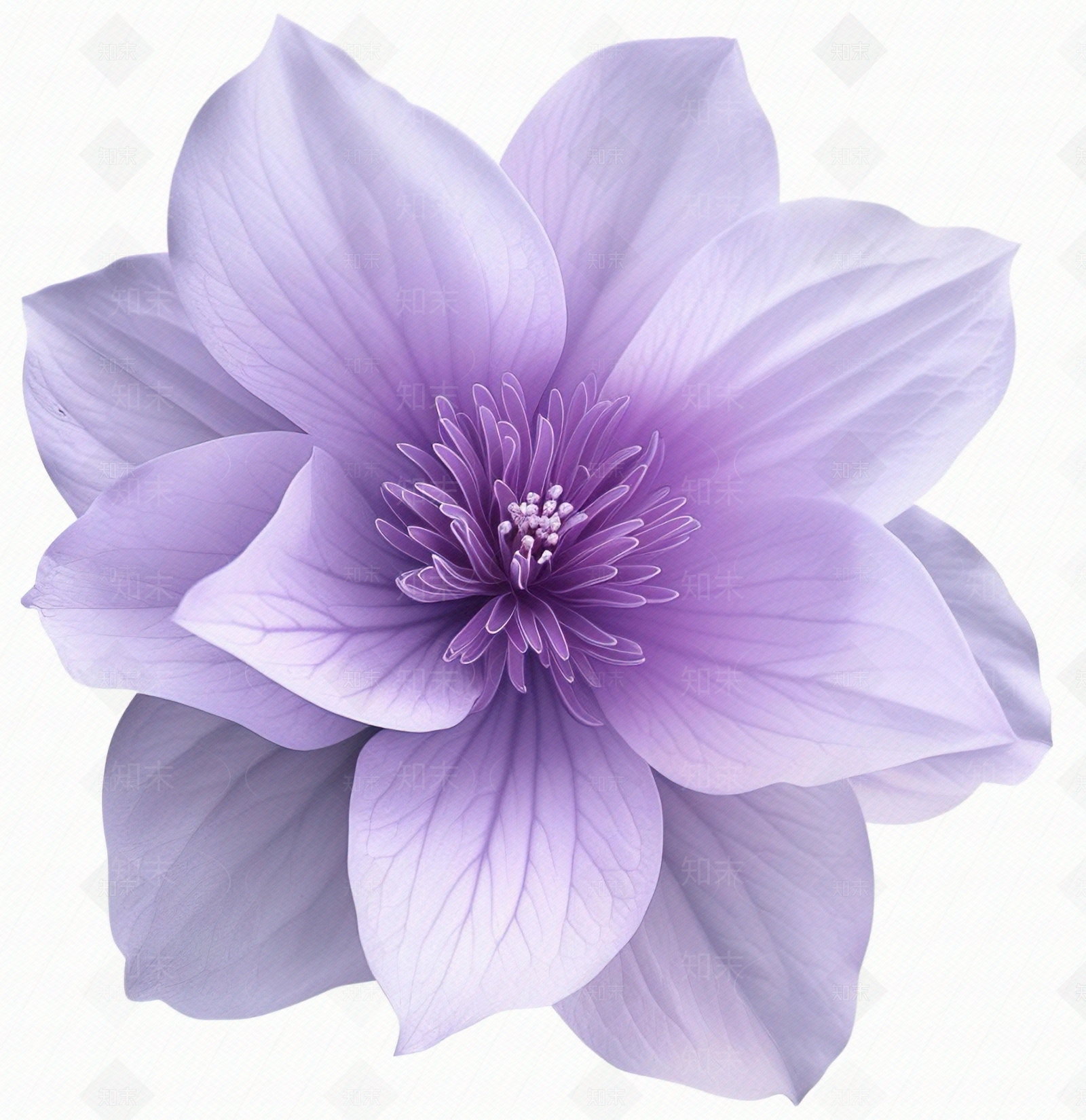 花朵贴图下载【ID:1159493836】