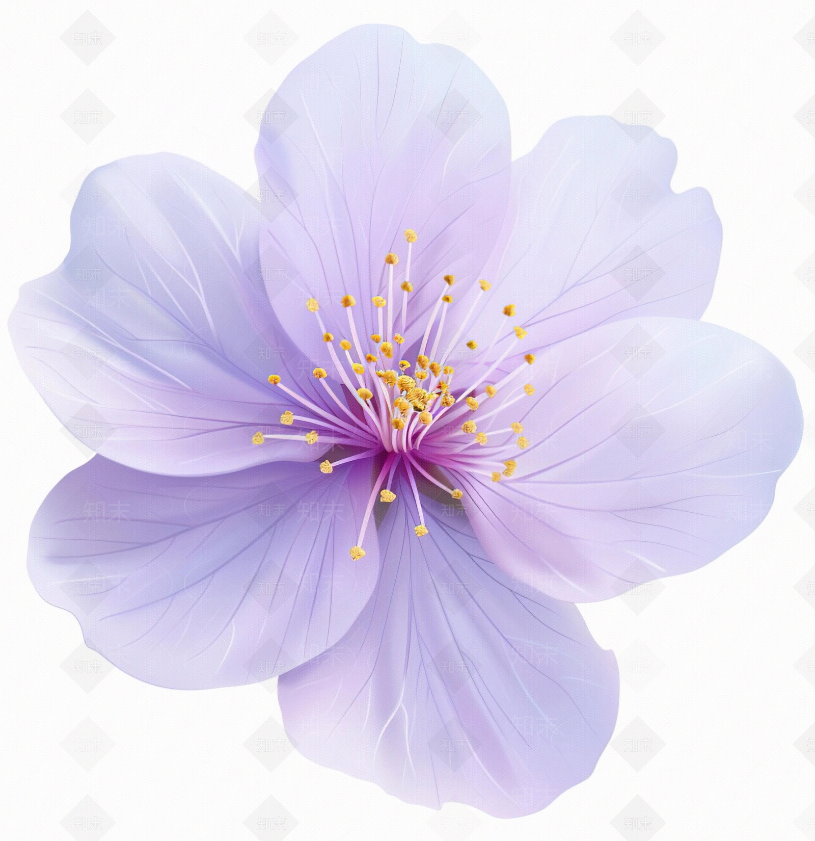 花朵贴图下载【ID:1159493973】