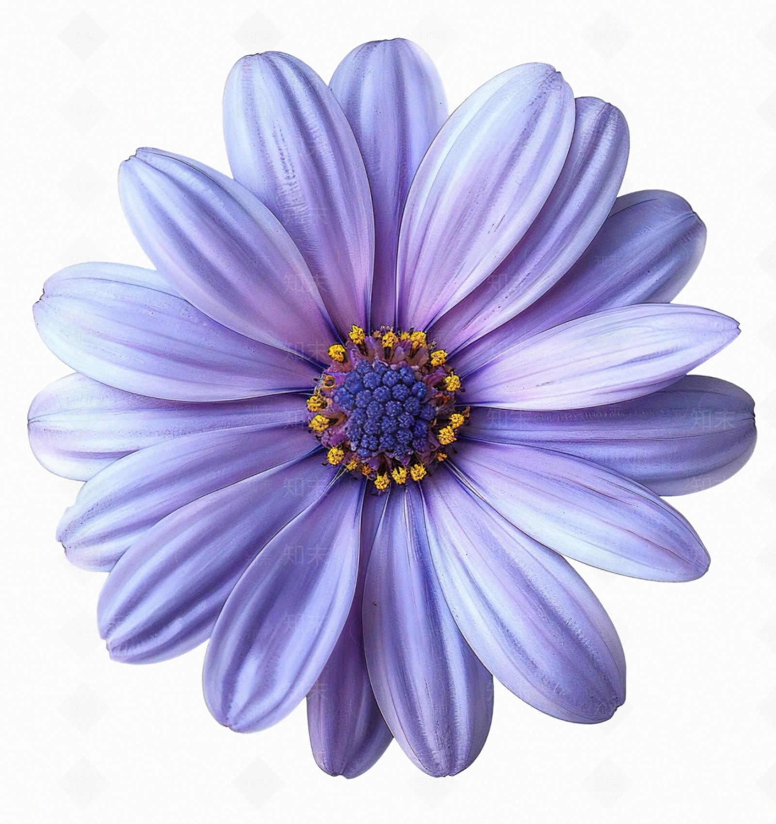花朵贴图下载【ID:1159494136】