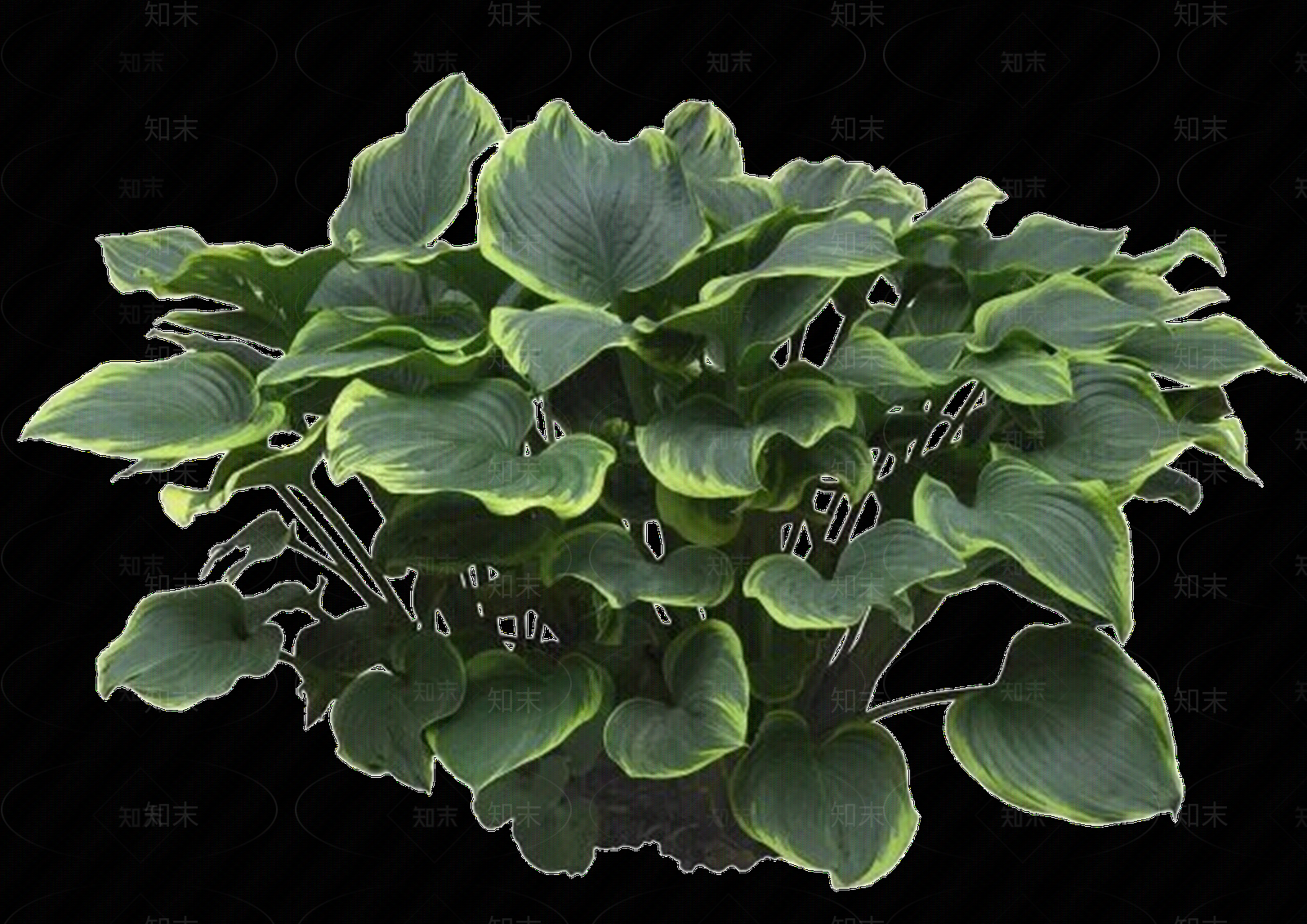 png免抠玉簪贴图下载【ID:1159521877】