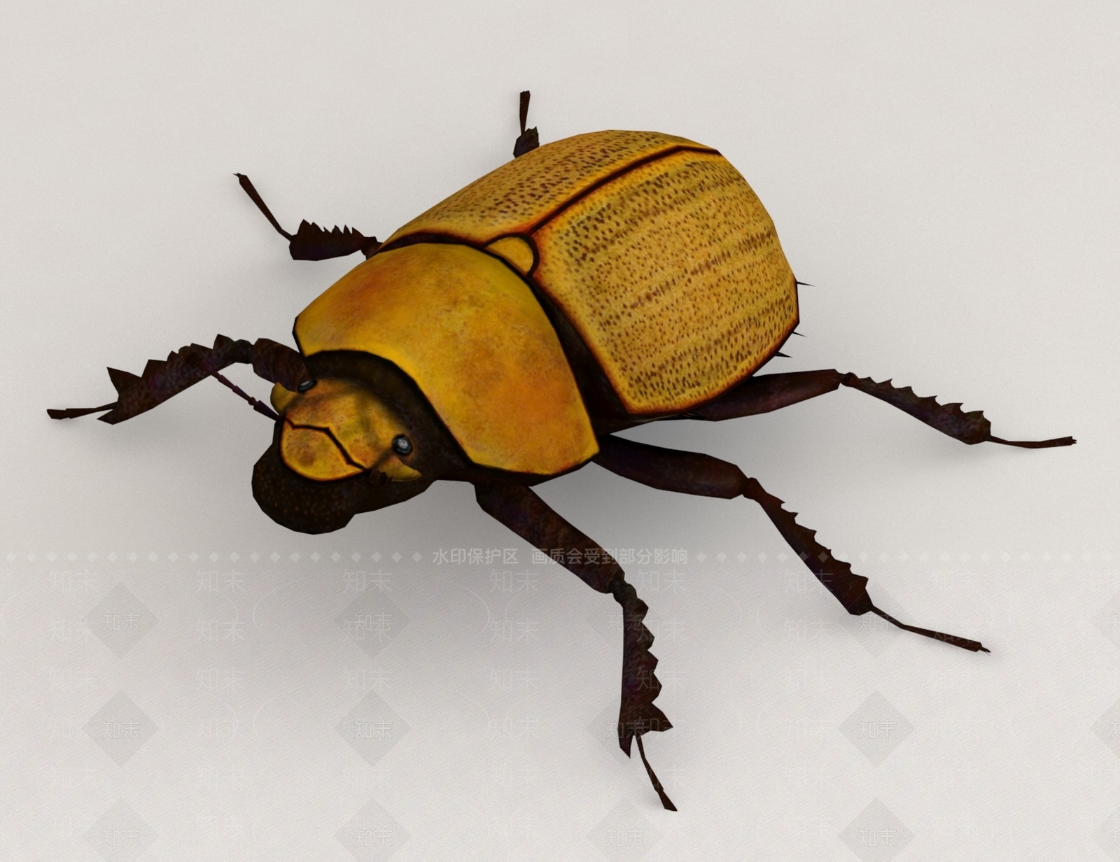 昆虫3D模型下载【ID:1159523293】