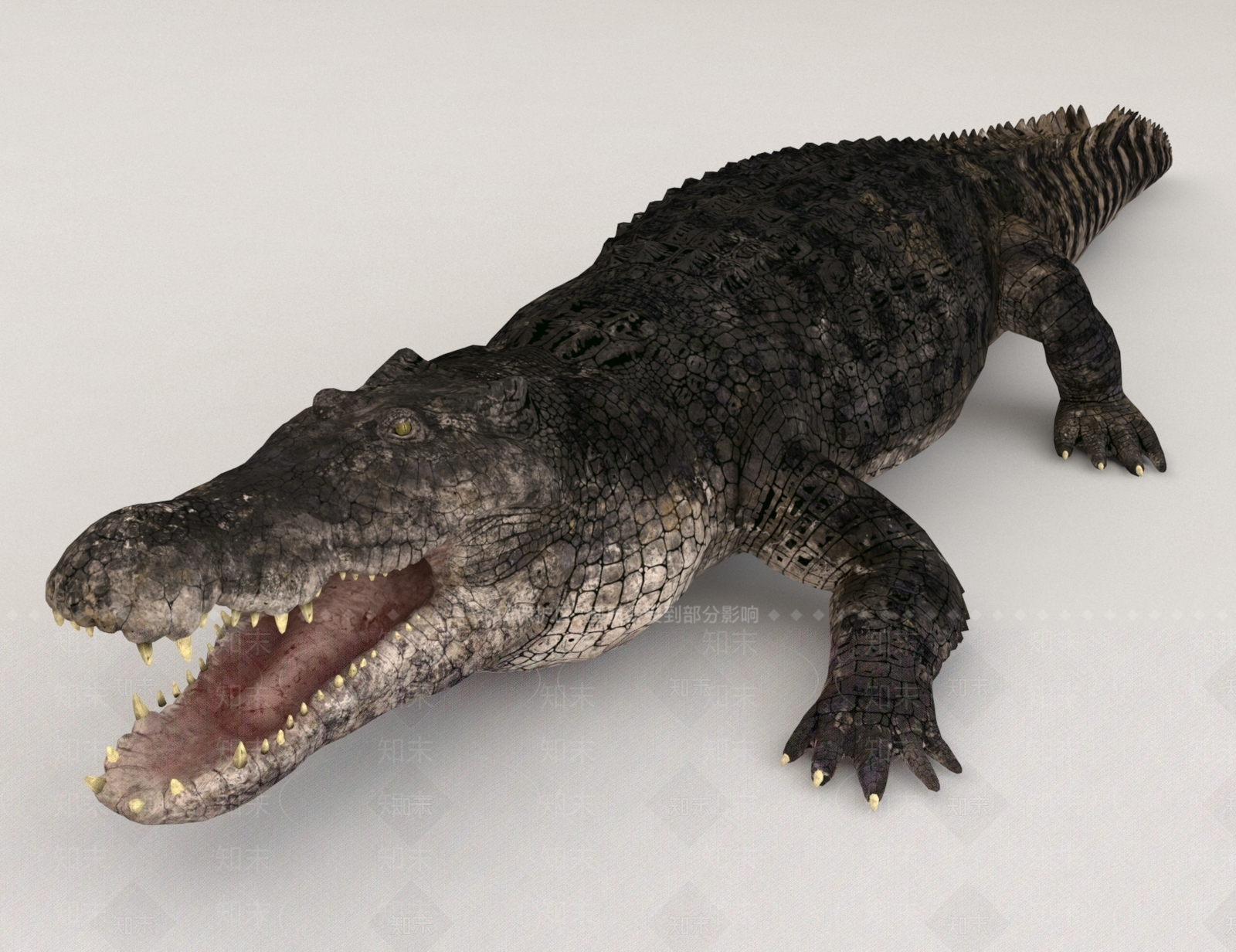 鳄鱼3D模型下载【ID:1159523452】