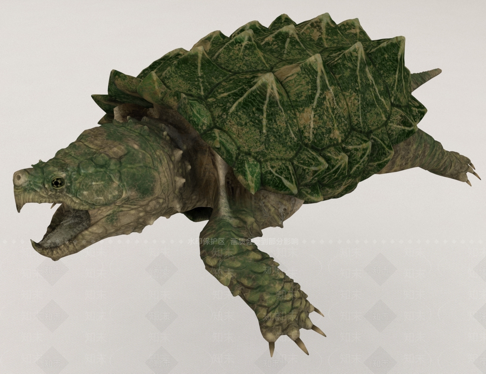 老乌龟3D模型下载【ID:1159524106】