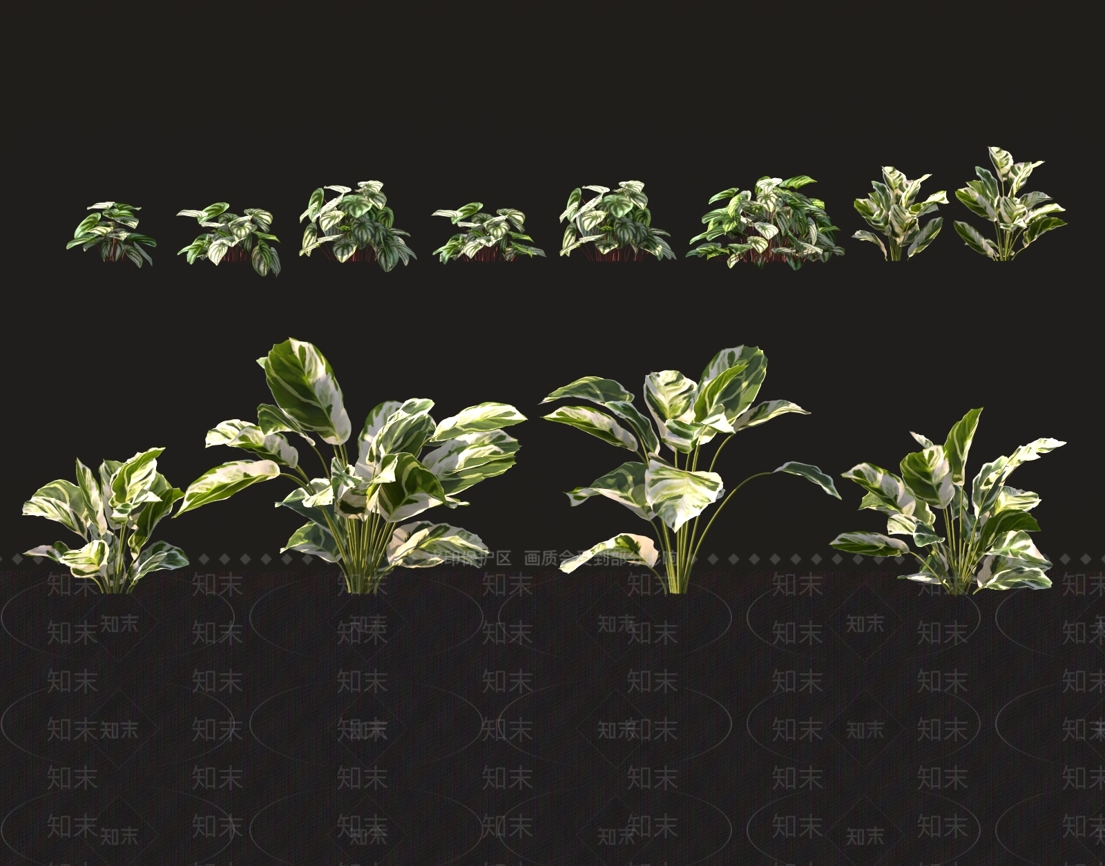 乔木3D模型下载【ID:1159592660】