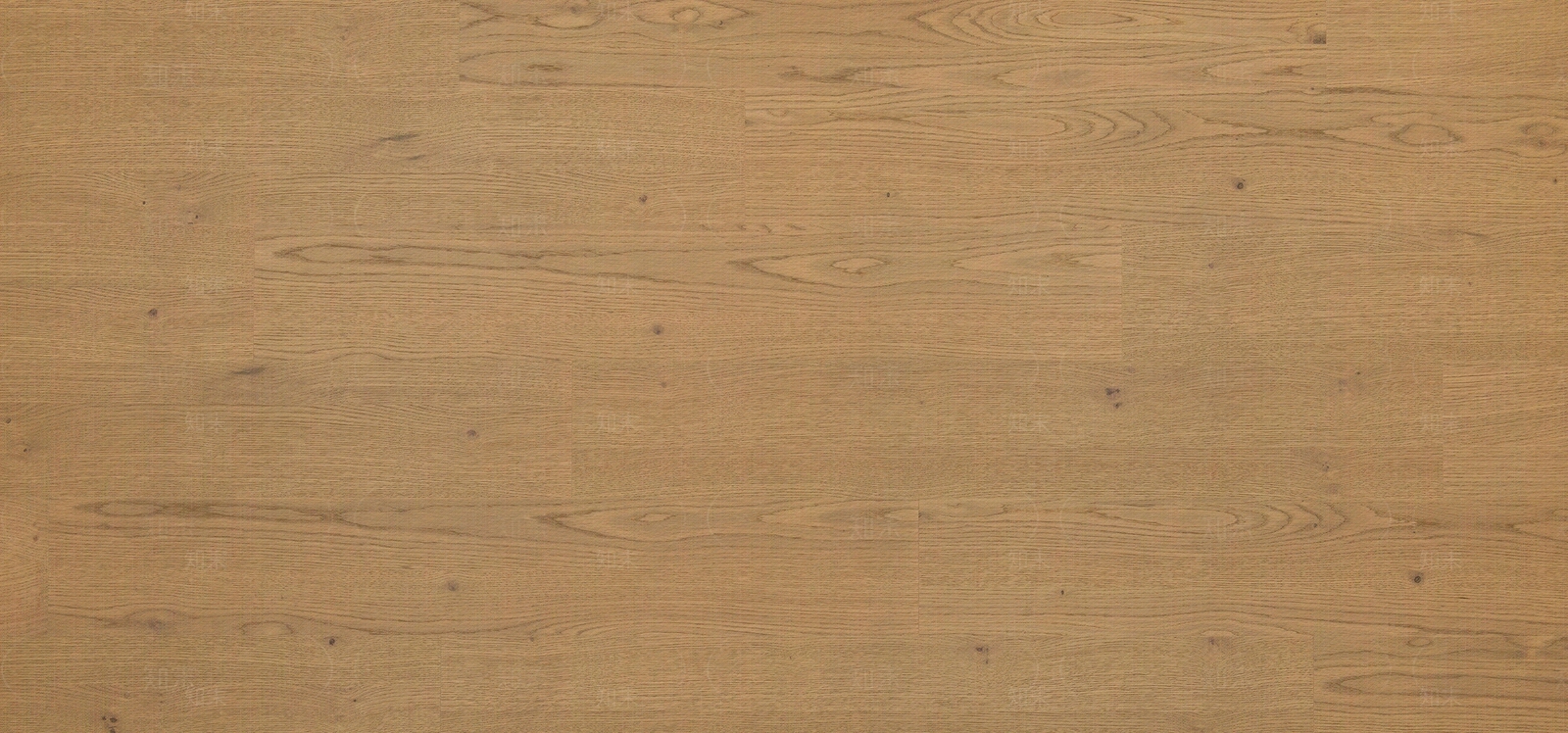 橡木纹地板贴图下载【ID:1159596177】