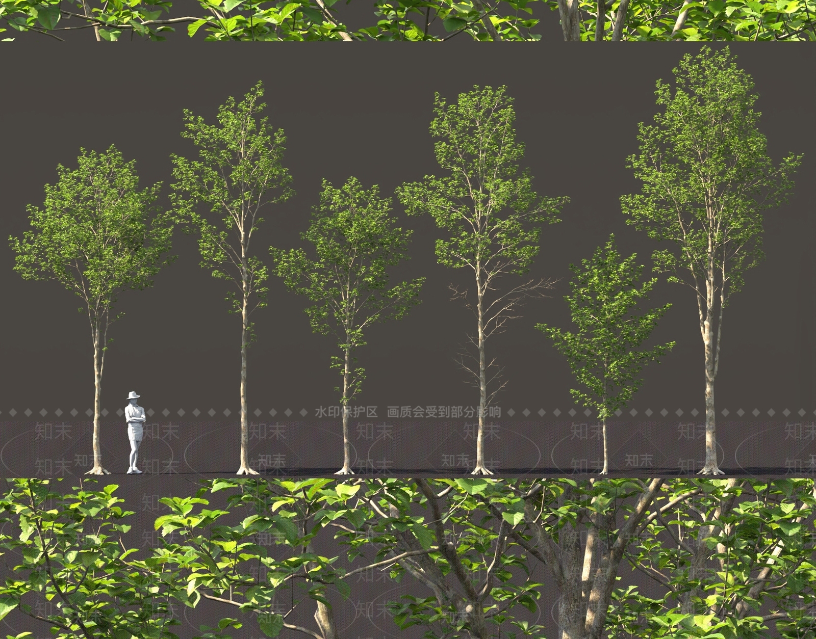 乔木3D模型下载【ID:1159617907】