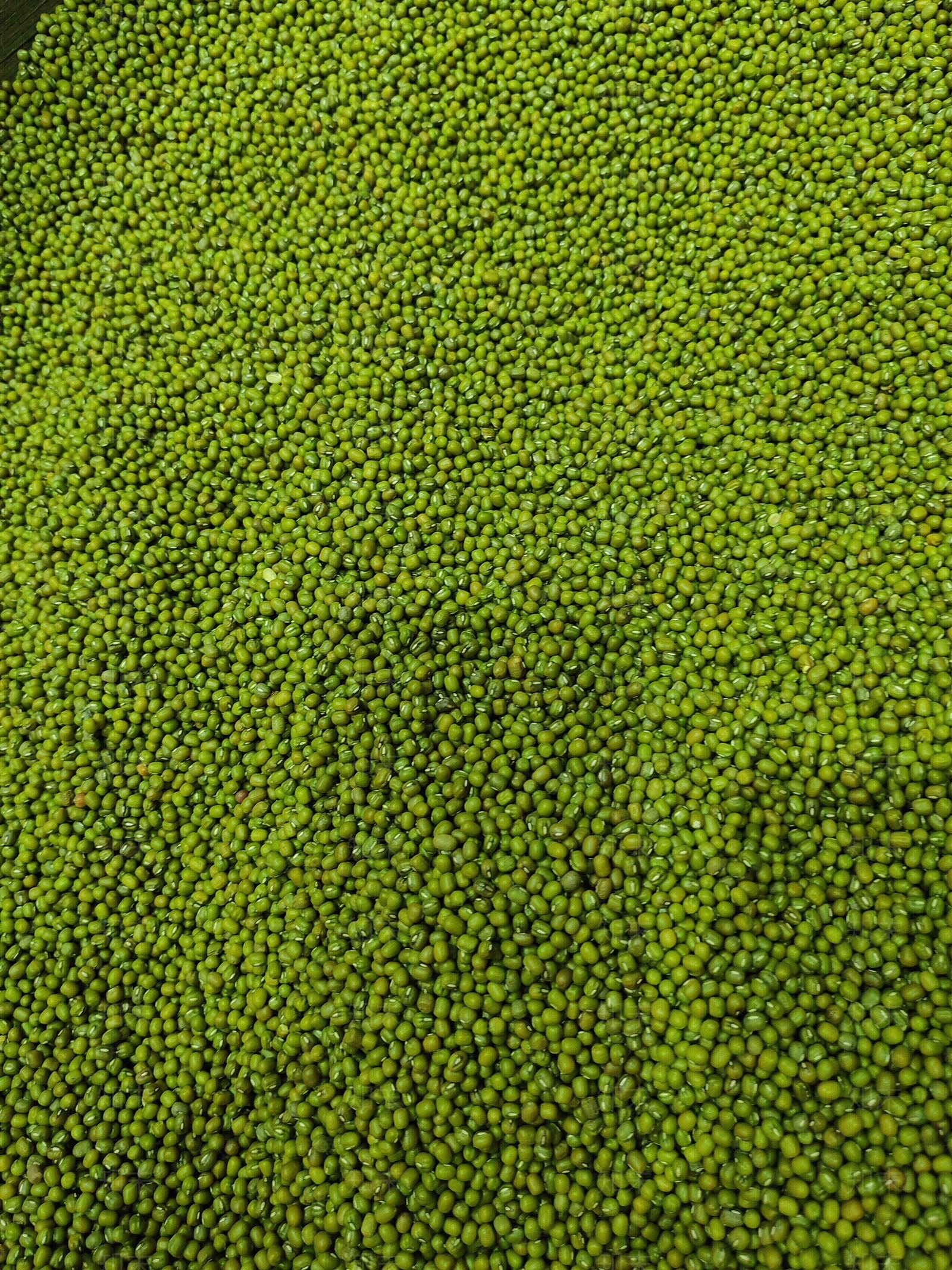 绿豆背景贴图下载【ID:1159657550】