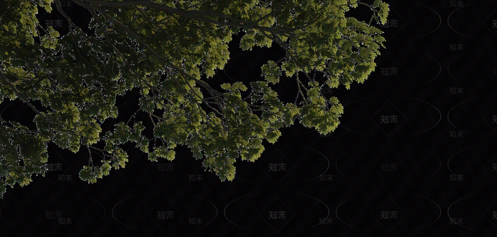 挂角树素材贴图下载【ID:1159659819】