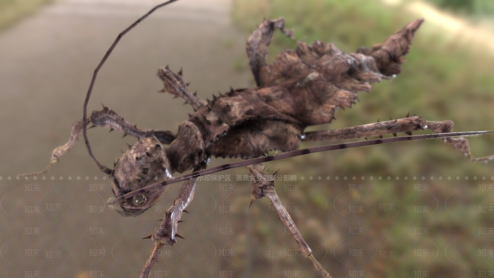 异翅异翅雀3D模型下载【ID:1159662843】