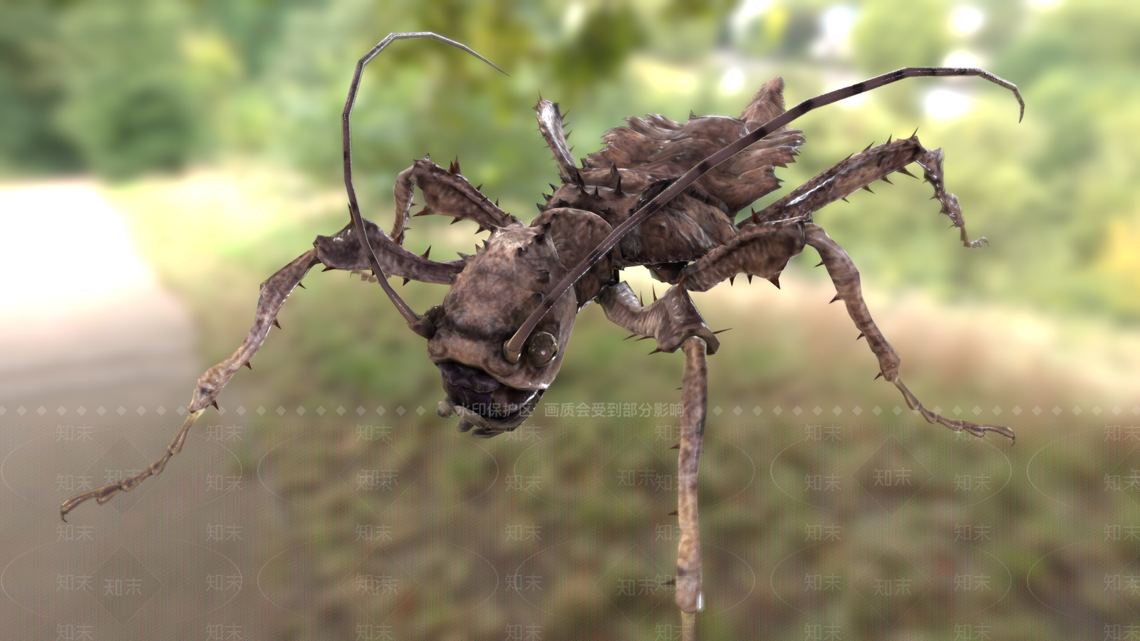 异翅异翅雀3D模型下载【ID:1159662843】