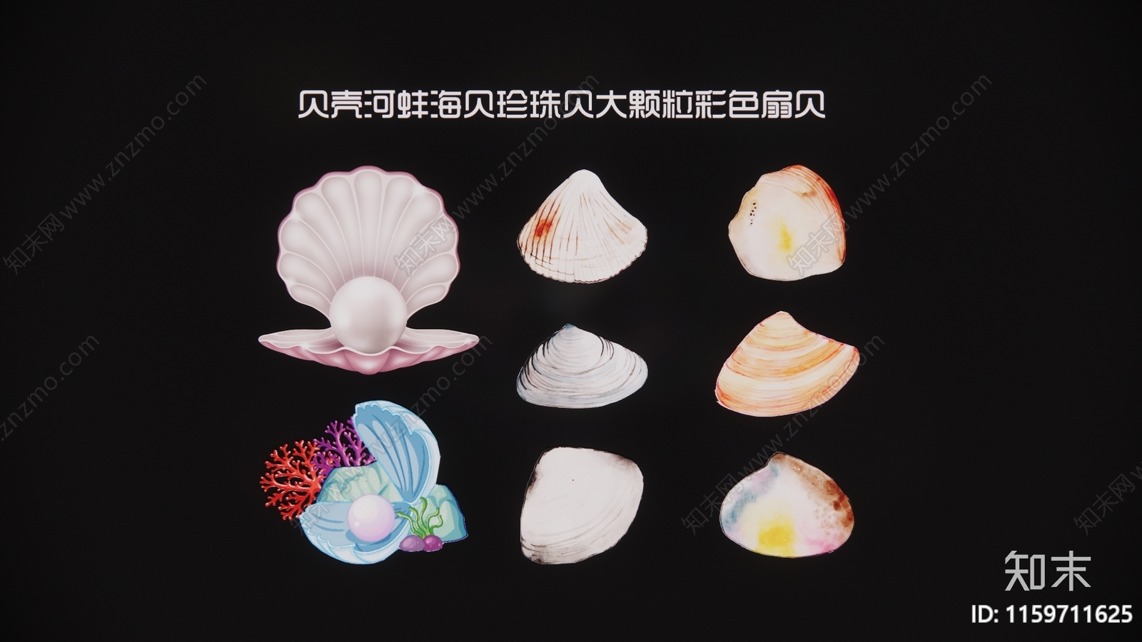 现代贝壳河蚌海贝珍珠贝大颗粒彩色扇贝3D模型下载【ID:1159711625】