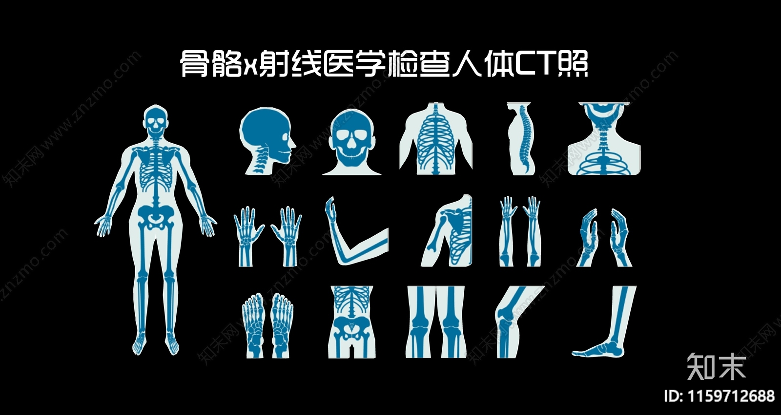 现代骨骼x射线医学检查人体CT照3D模型下载【ID:1159712688】