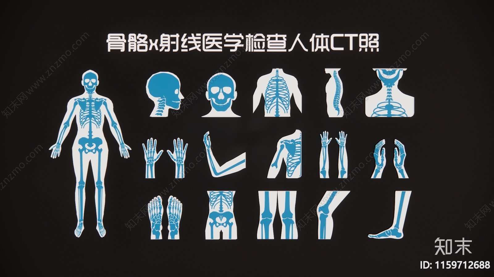 现代骨骼x射线医学检查人体CT照3D模型下载【ID:1159712688】