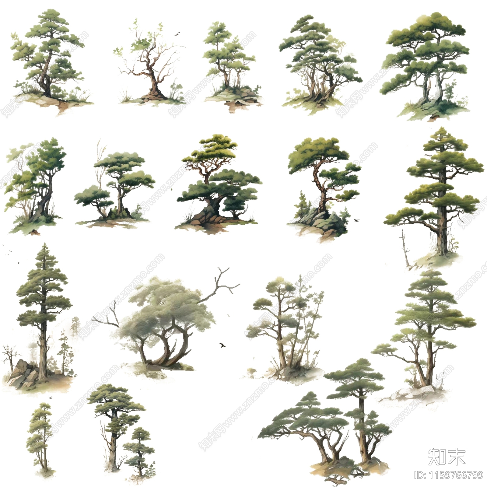 乔木设计素材精品下载_知末网