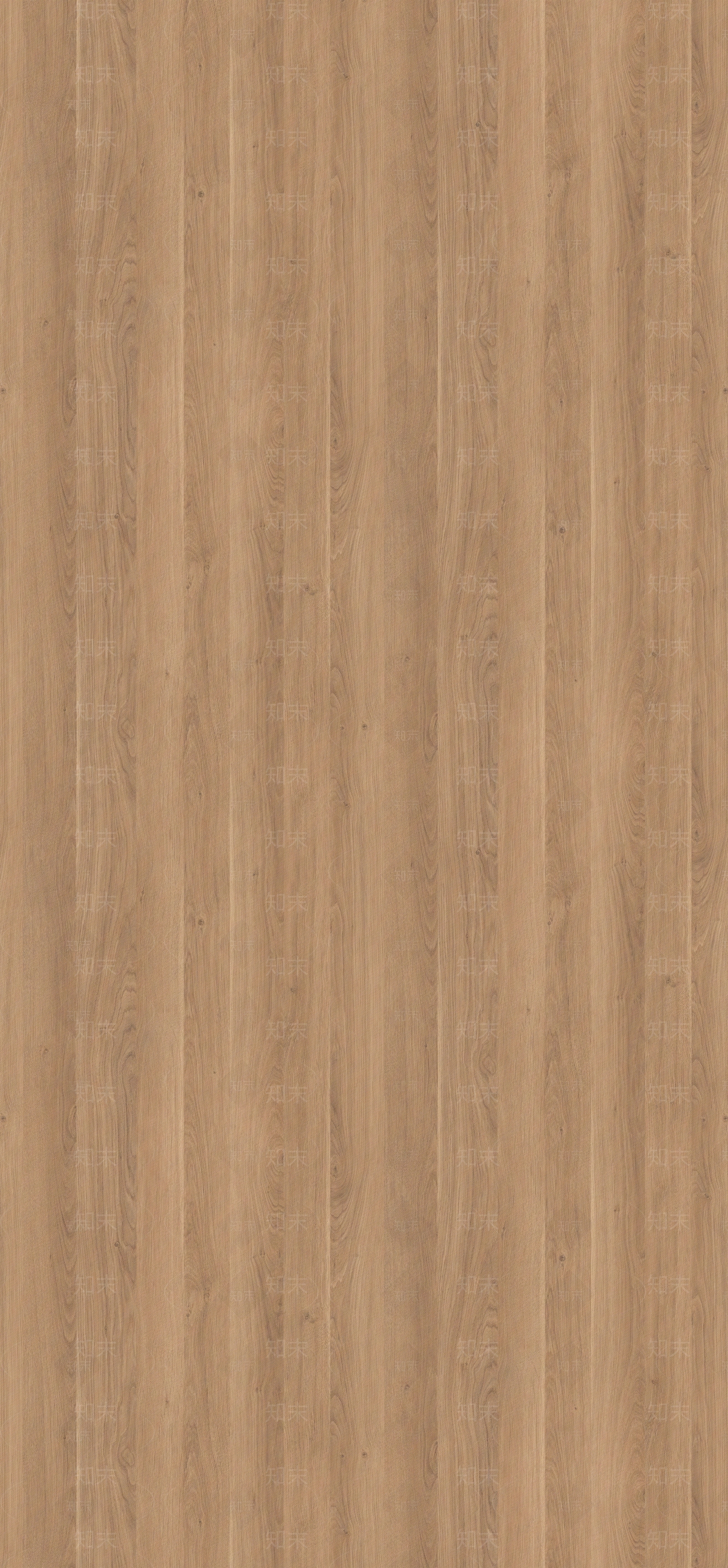 棕色库内奥橡木贴图下载【ID:1159768116】