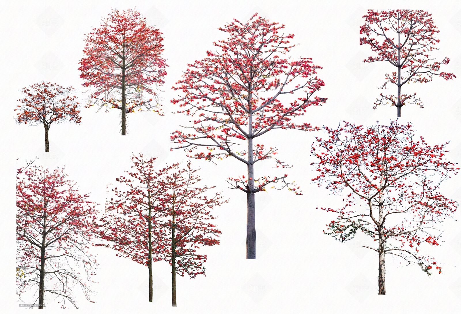 psd免抠木棉树植物素材贴图下载【ID:1159792408】