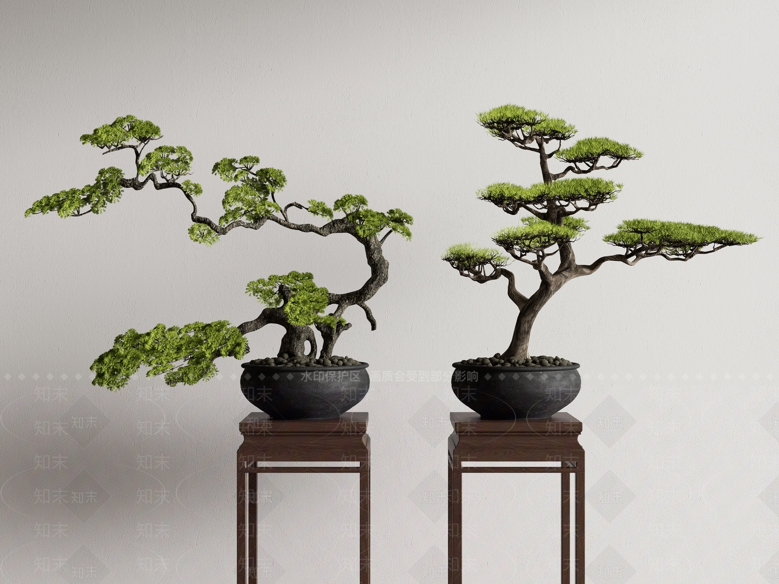 盆栽SU模型草图