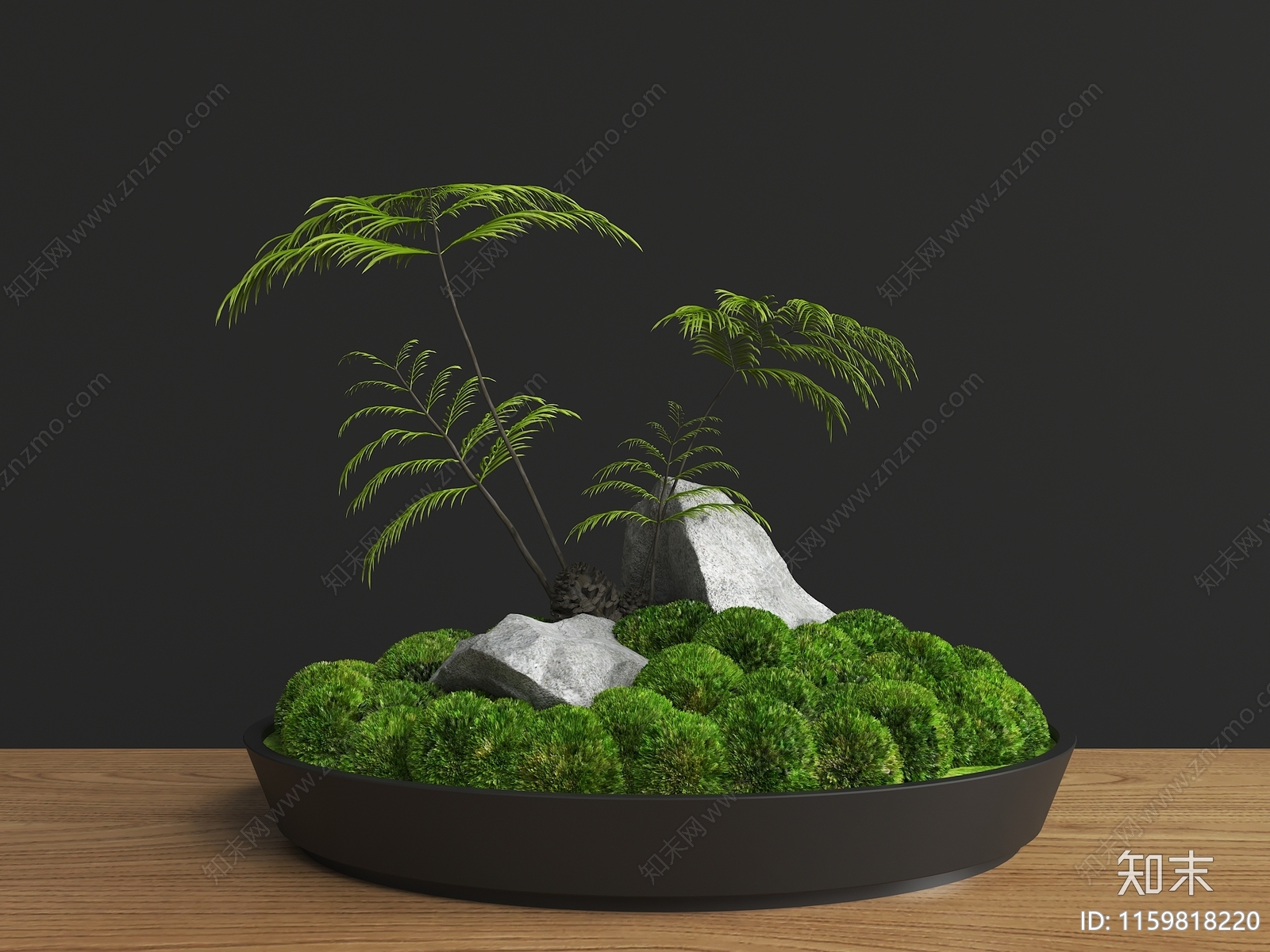 现代植物盆栽3D模型下载【ID:1159818220】