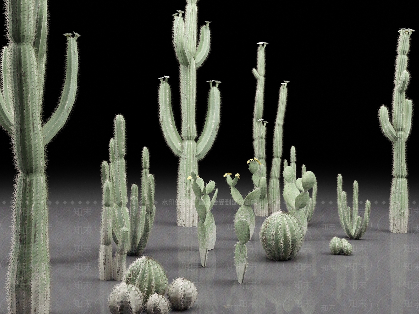 仙人掌3D模型下载【ID:1159823327】