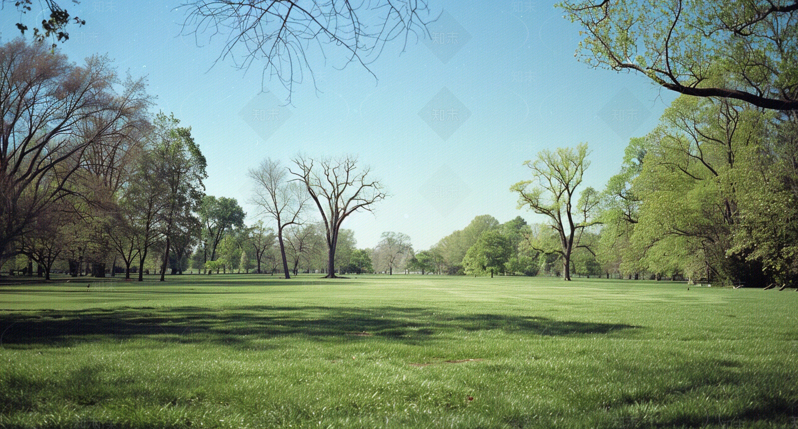 公园森林草坪外景贴图下载【ID:1159882972】