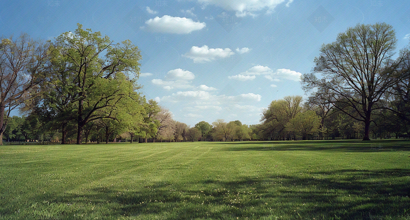 公园森林草坪外景贴图下载【ID:1159882946】