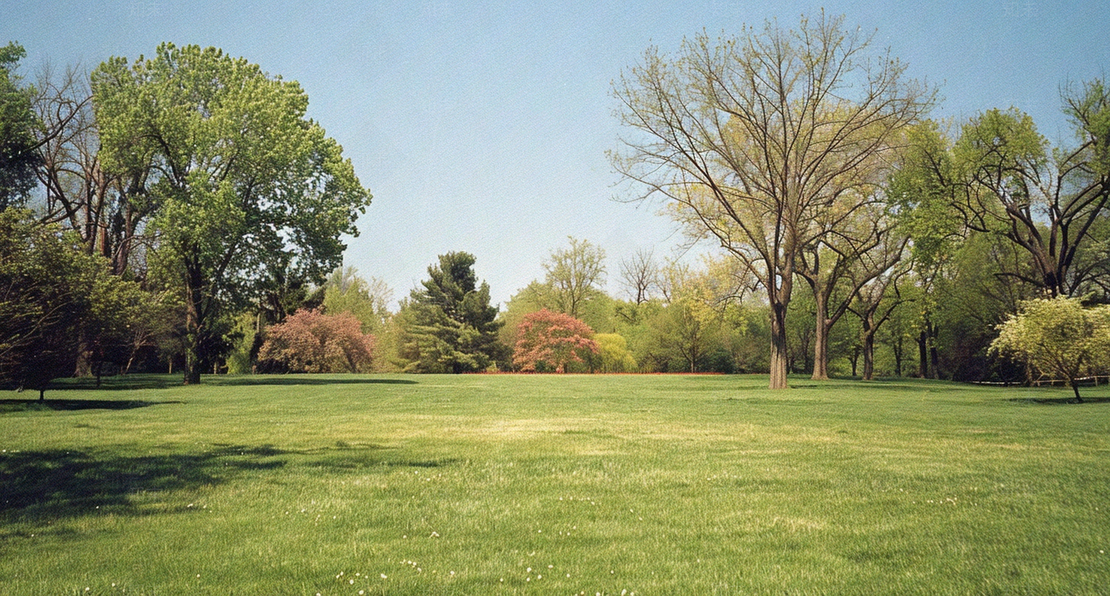 公园森林草坪外景贴图下载【ID:1159882959】