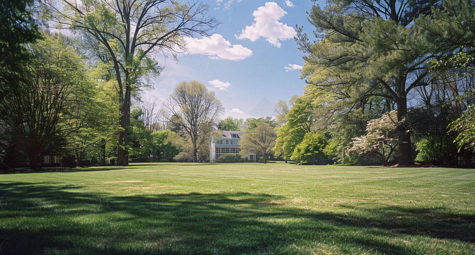 公园森林草坪外景贴图下载【ID:1159883142】