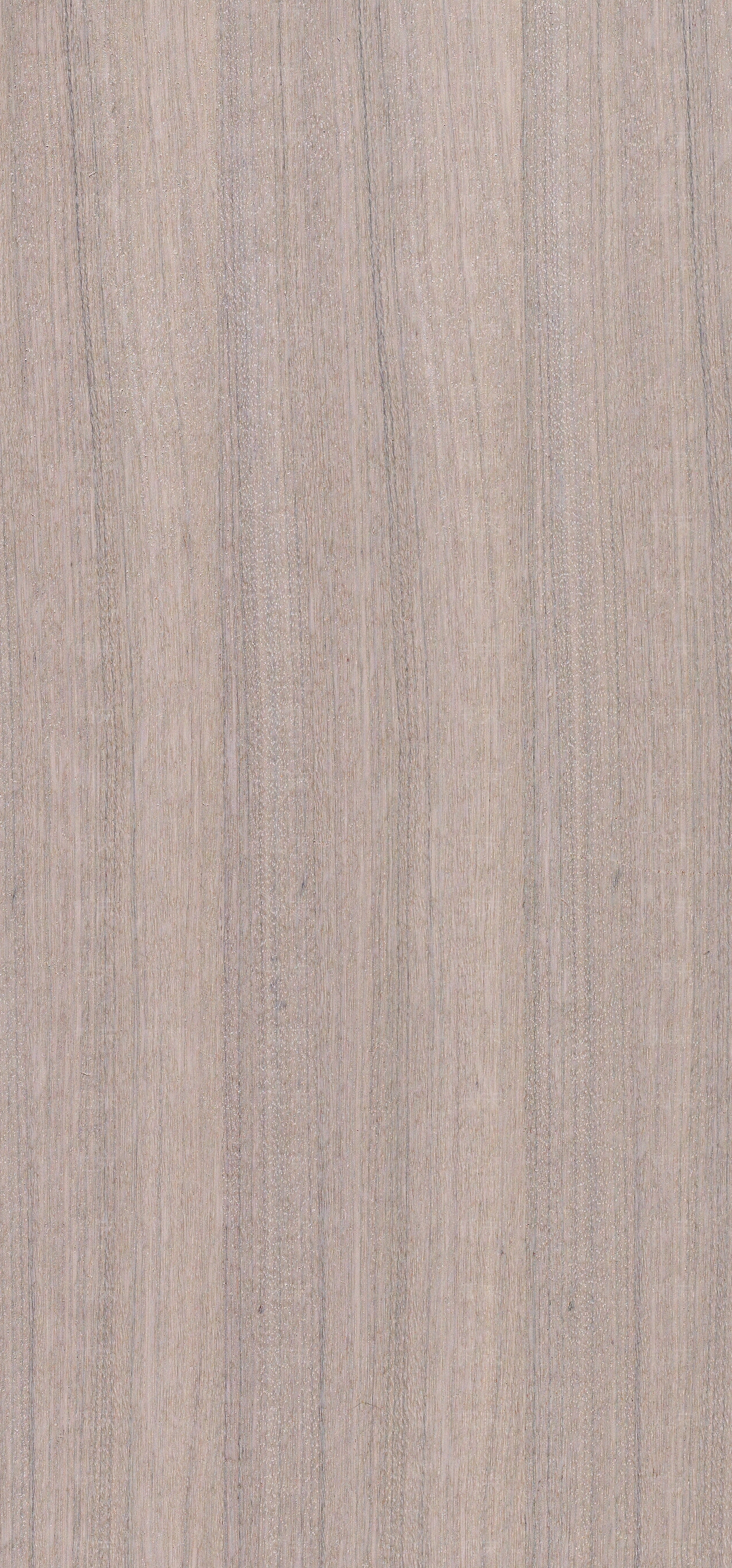 瑞士檀木喷砂自然拼贴图下载【ID:1159894193】