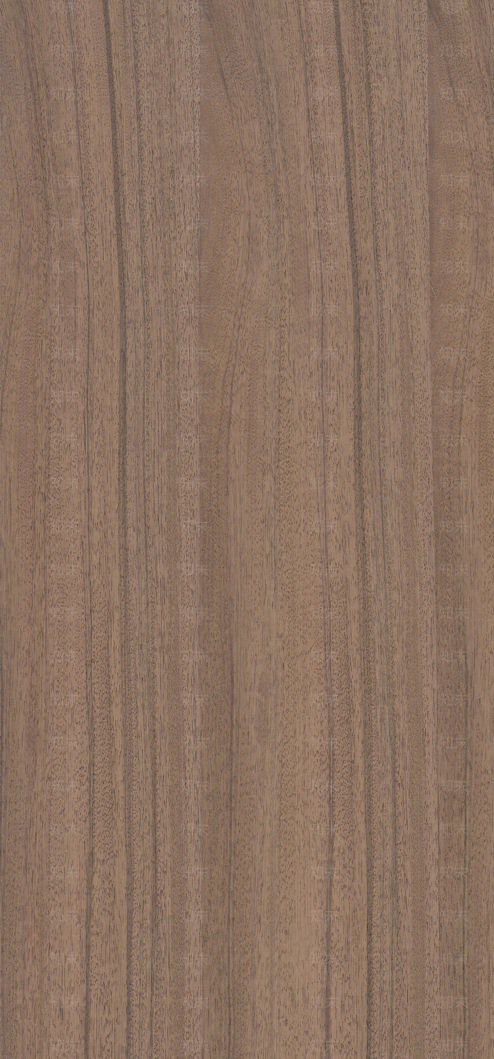 瑞士檀木喷砂自然拼贴图下载【ID:1159894187】