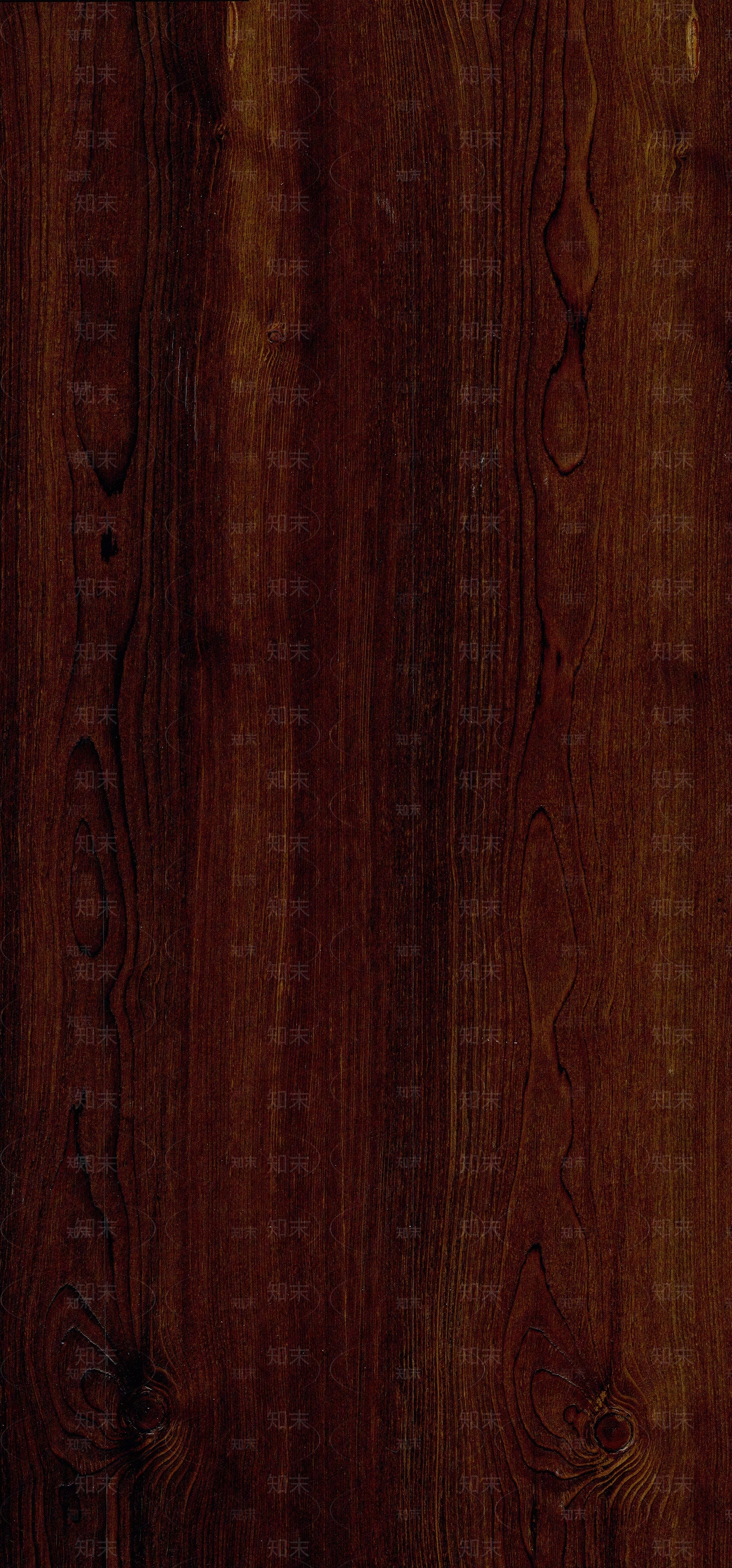 落叶松钢刷贴图下载【ID:1159894504】