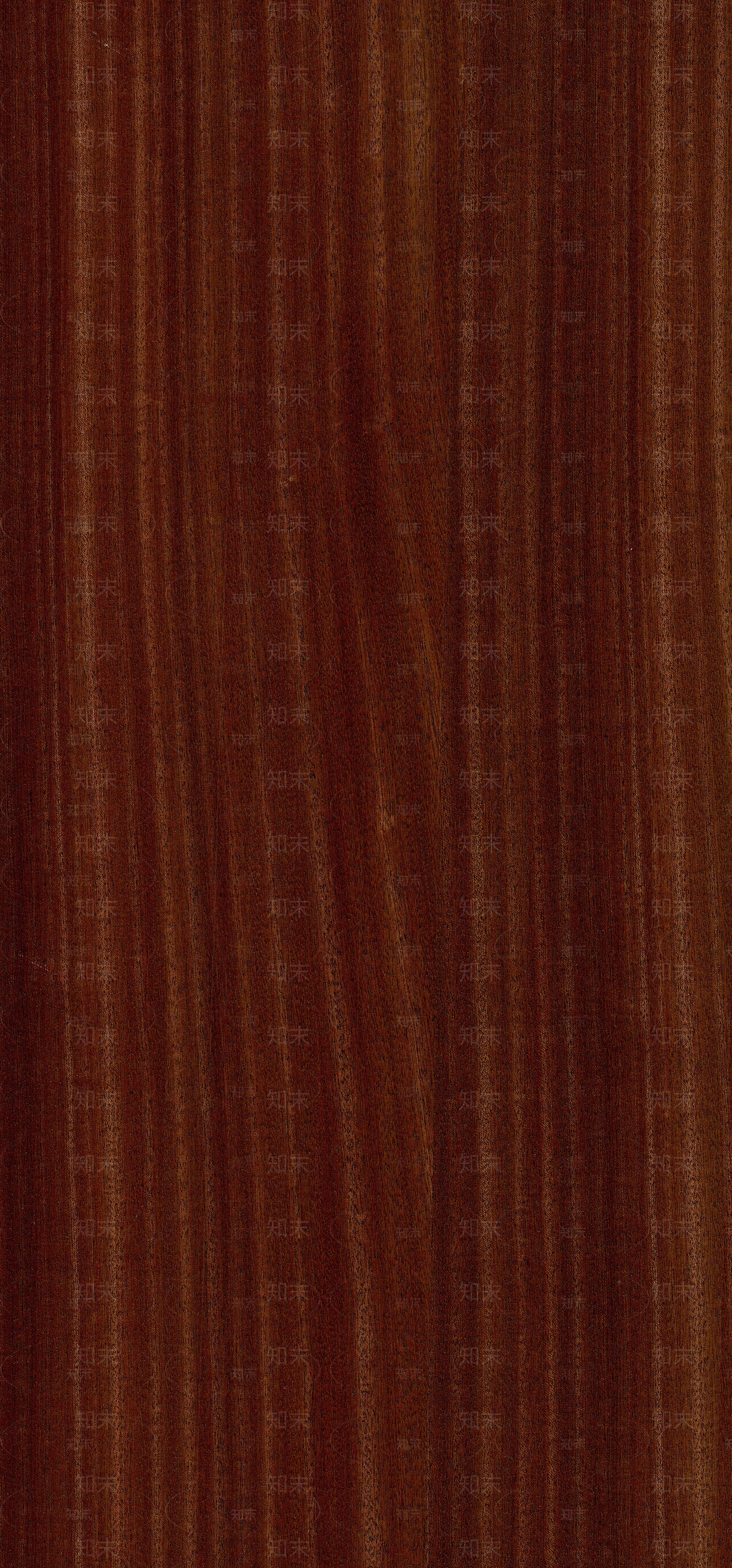 沙比利喷砂自然拼贴图下载【ID:1159895056】