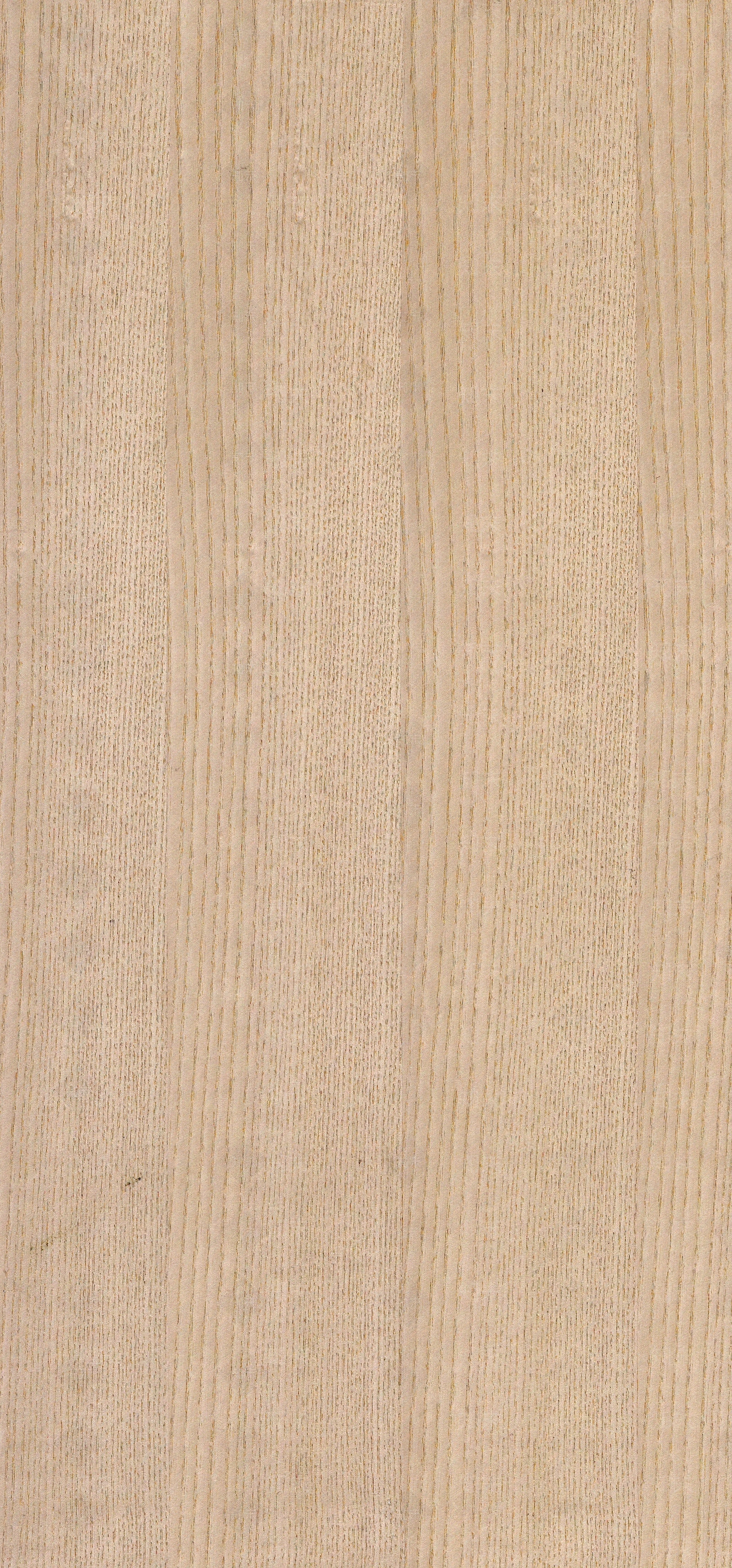 白栓喷砂自然拼贴图下载【ID:1159895436】