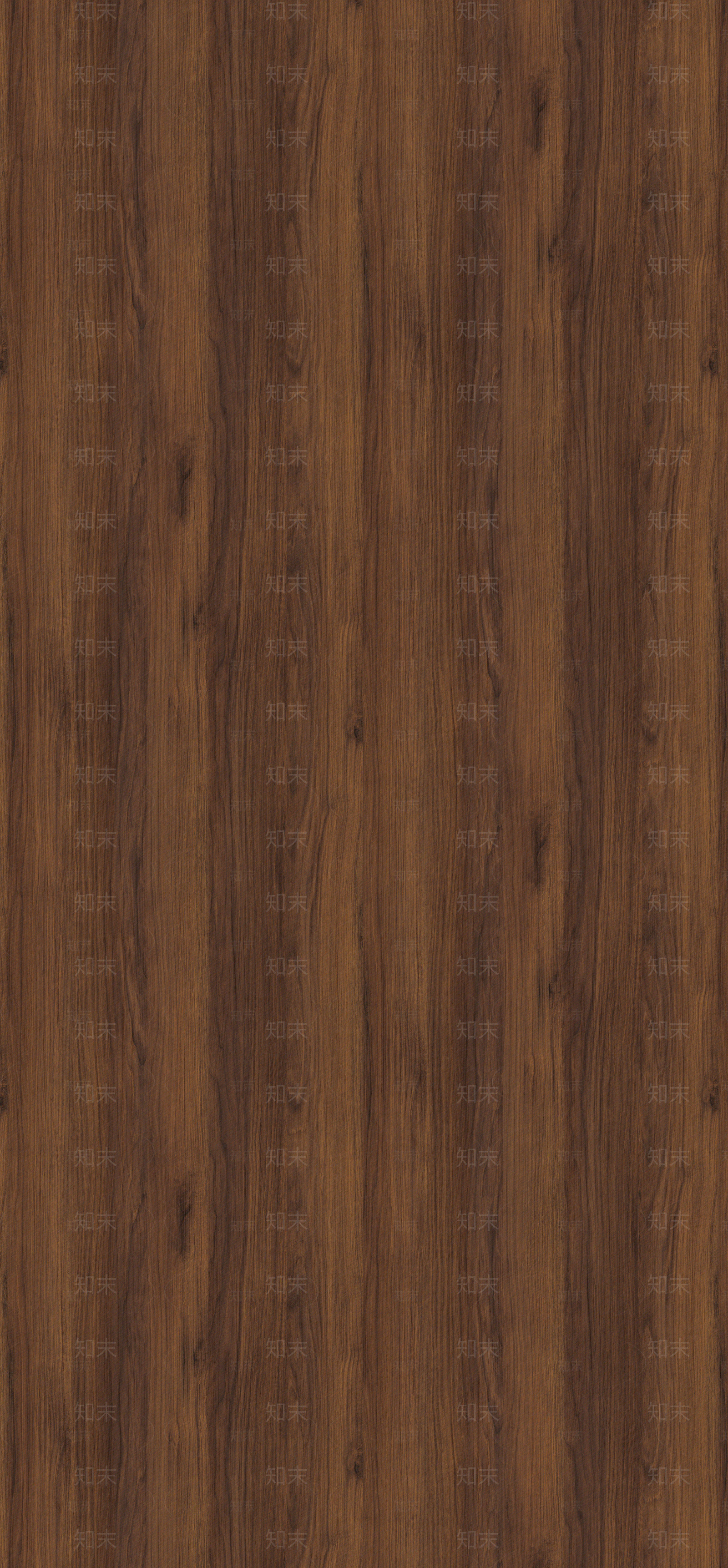 棕色沃米亚胡桃贴图下载【ID:1159902214】