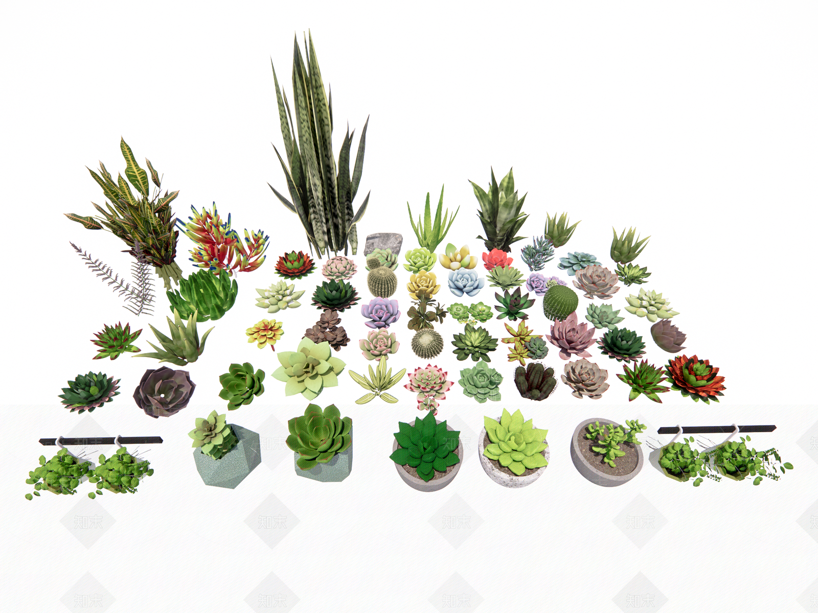 现代多肉植物组合3D模型下载【ID:1159912998】