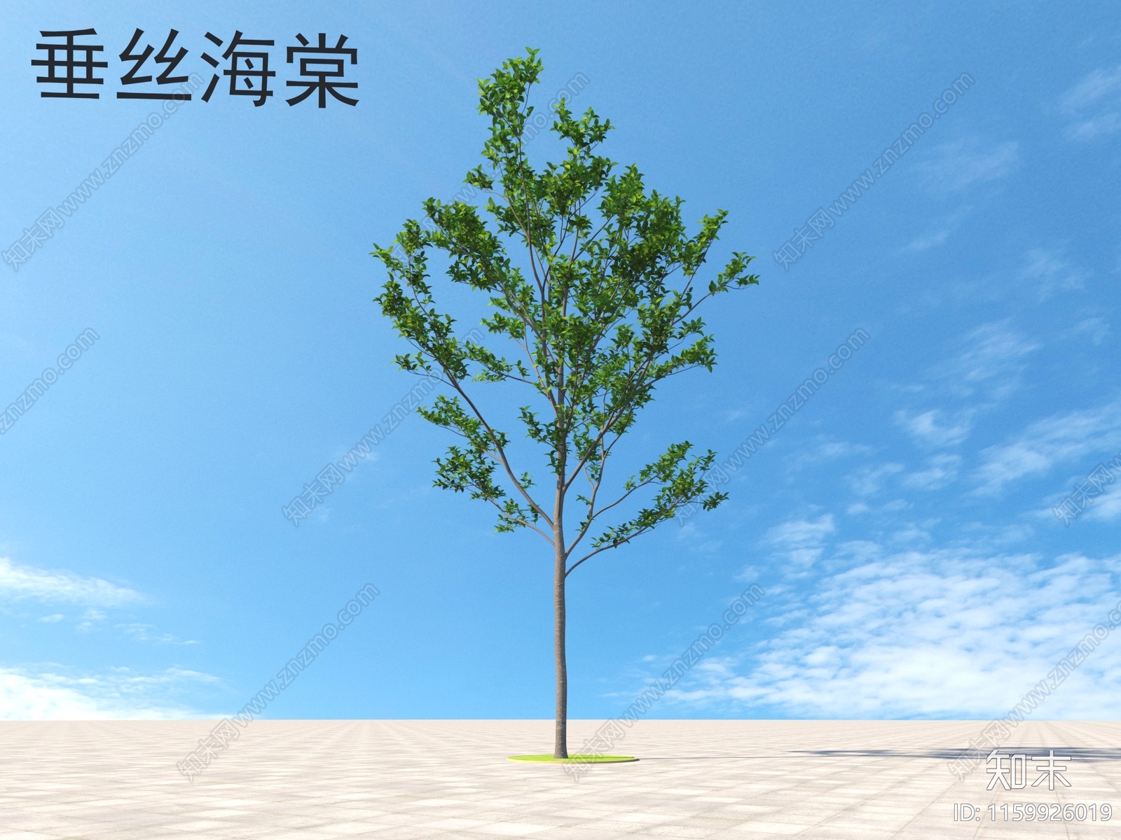 垂丝海棠3D模型下载【ID:1159926019】