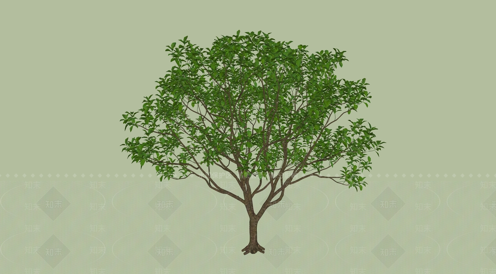 景观乔木SU模型下载【ID:1159955910】