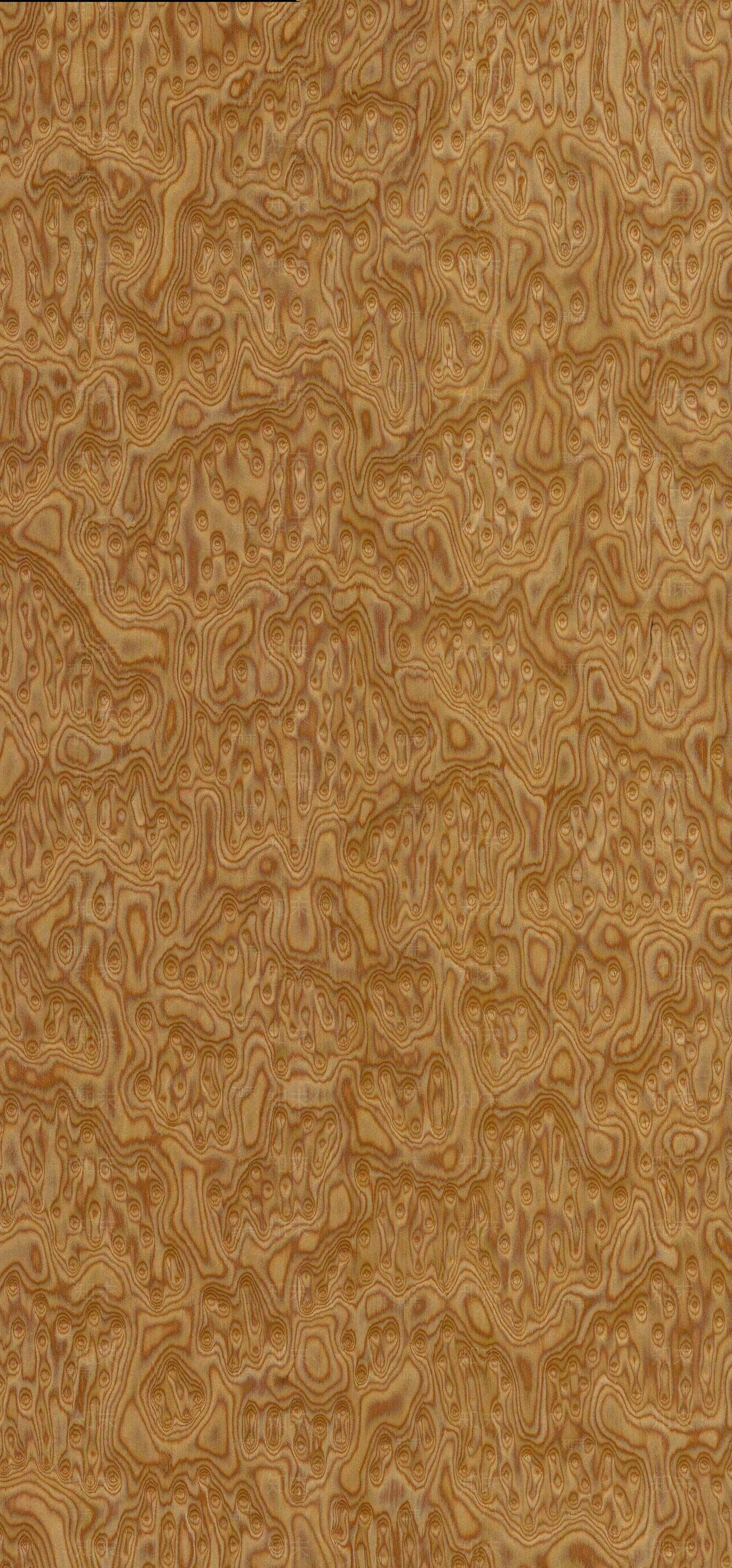 猫眼木纹贴图下载【ID:1159987982】